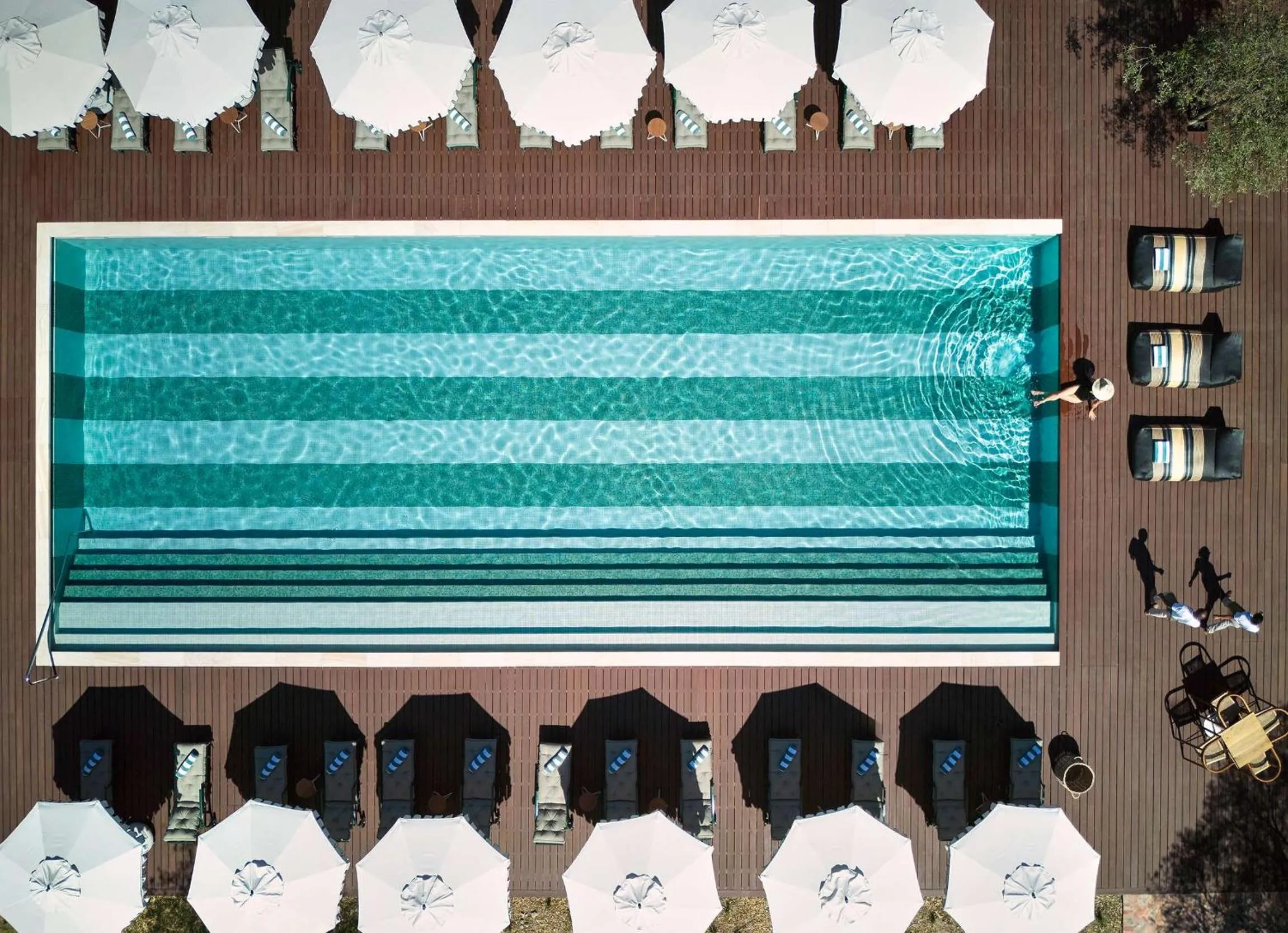 Swimming pool in Spier Hotel and Wine Farm