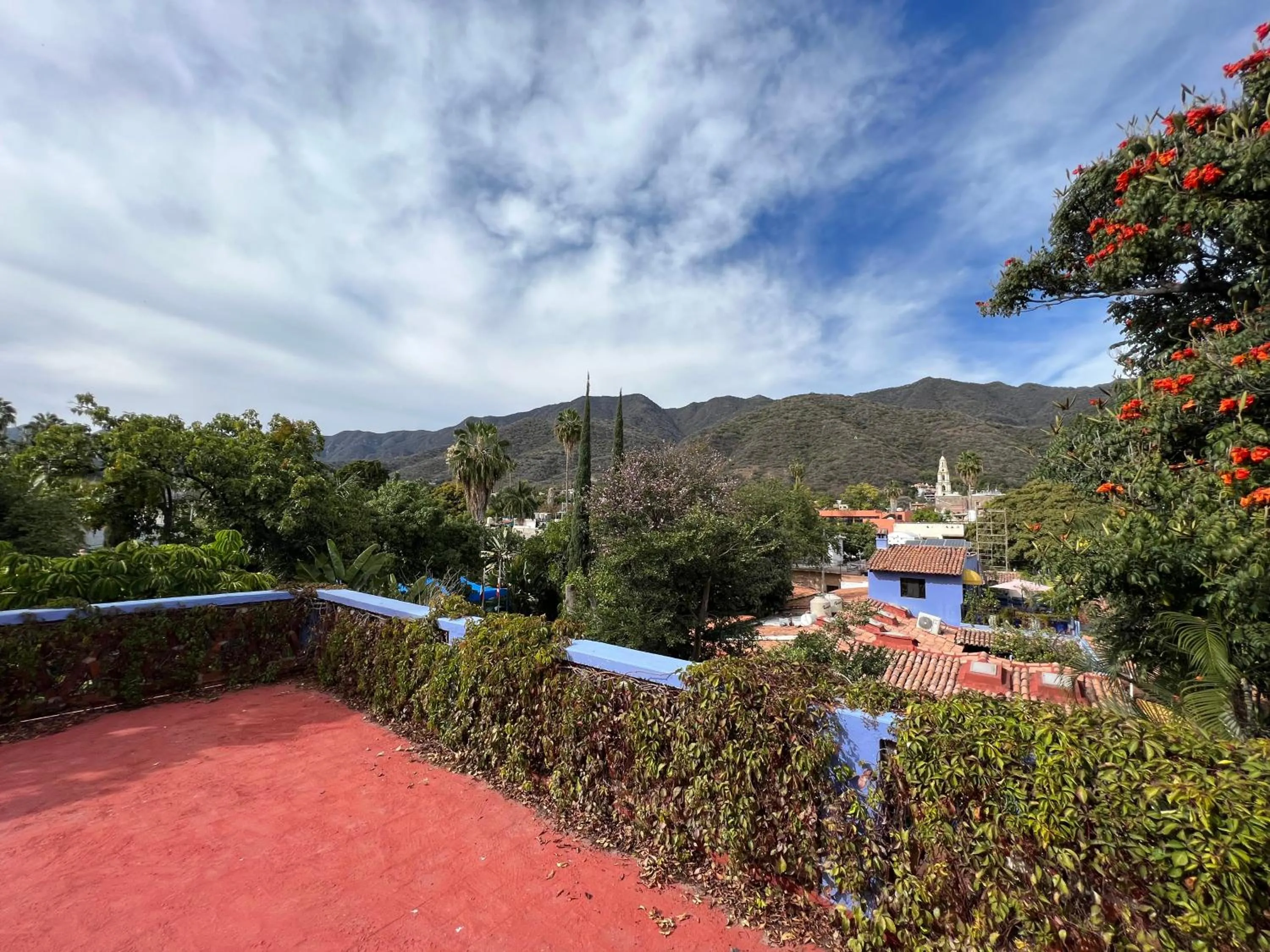 Spring in Estrellita's Bed & Breakfast