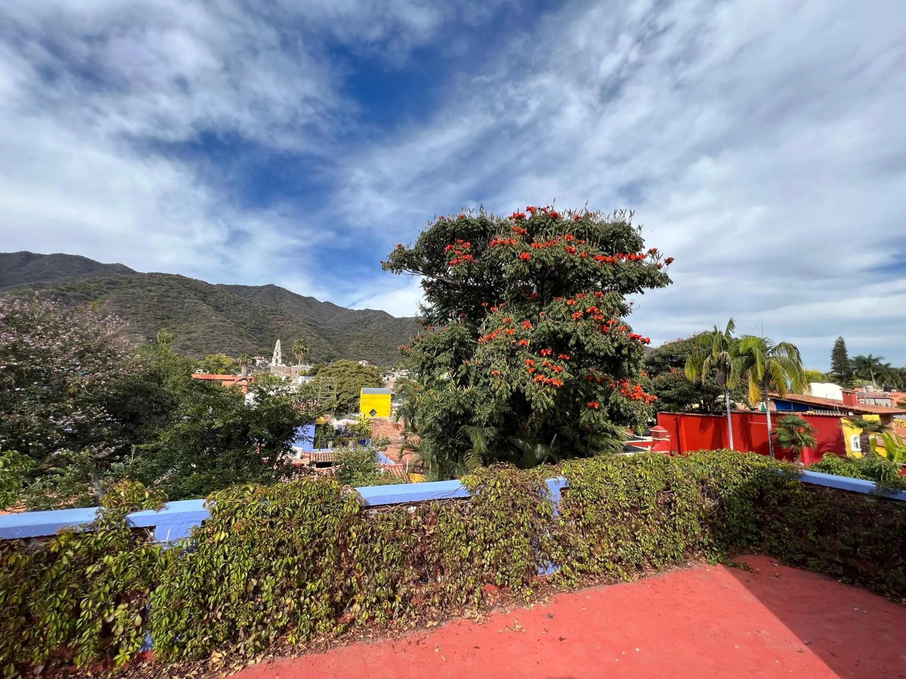 Spring in Estrellita's Bed & Breakfast