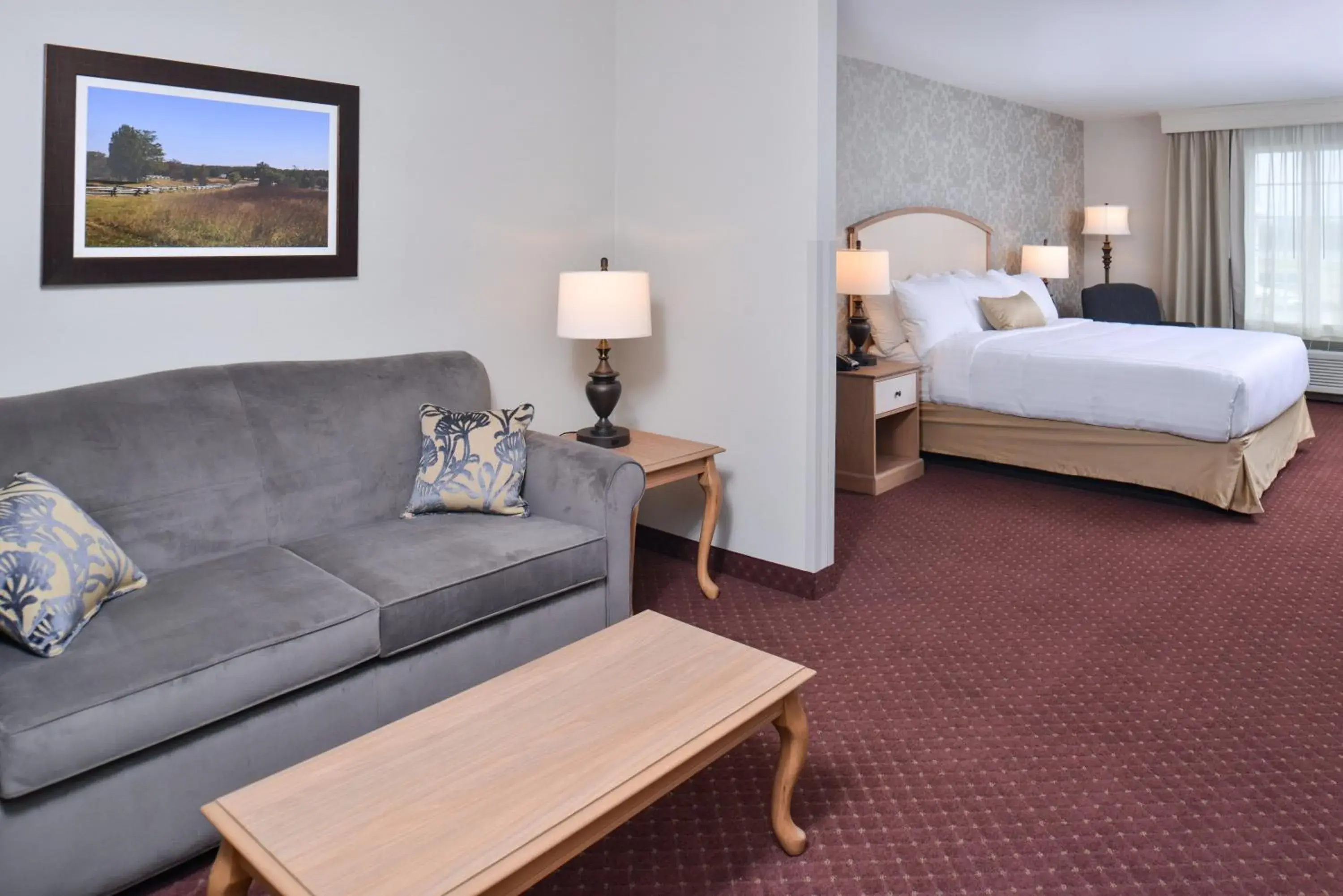 King Studio - single occupancy in Appomattox Inn and Suites King Studio - single occupancy in Appomattox Inn and Suites