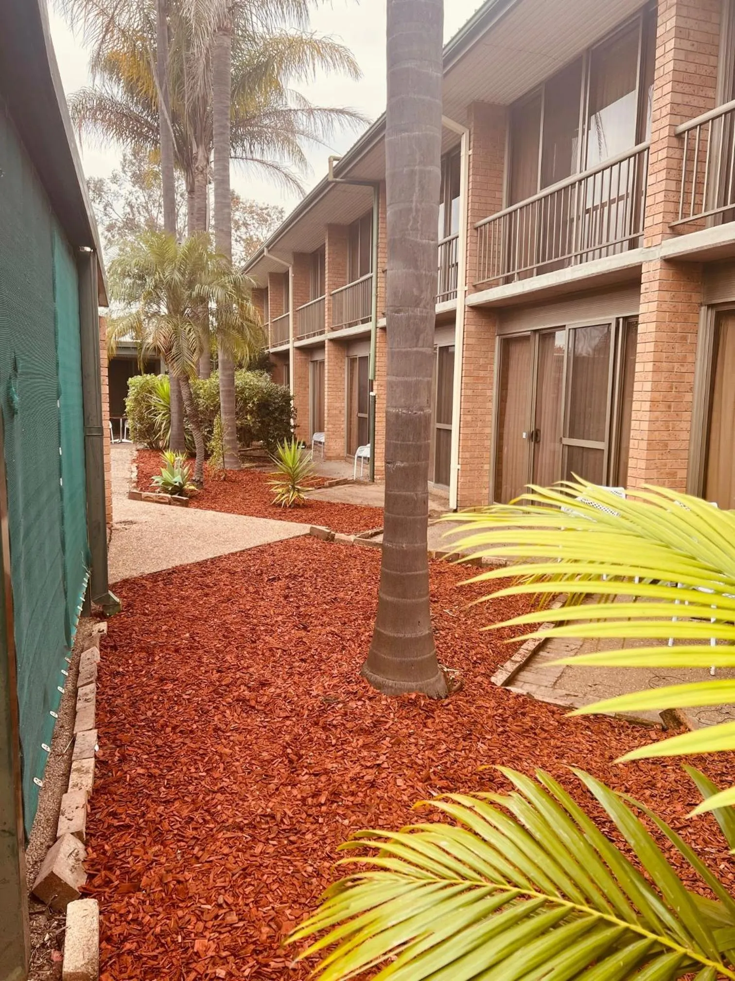 Garden in John Hunter Motel Muswellbrook