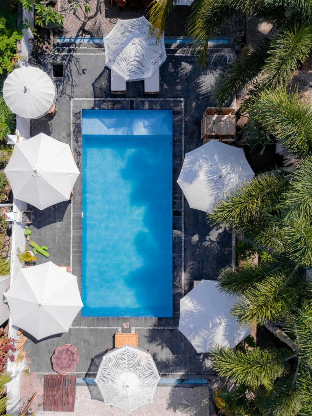 Bird's eye view in Color Cottage