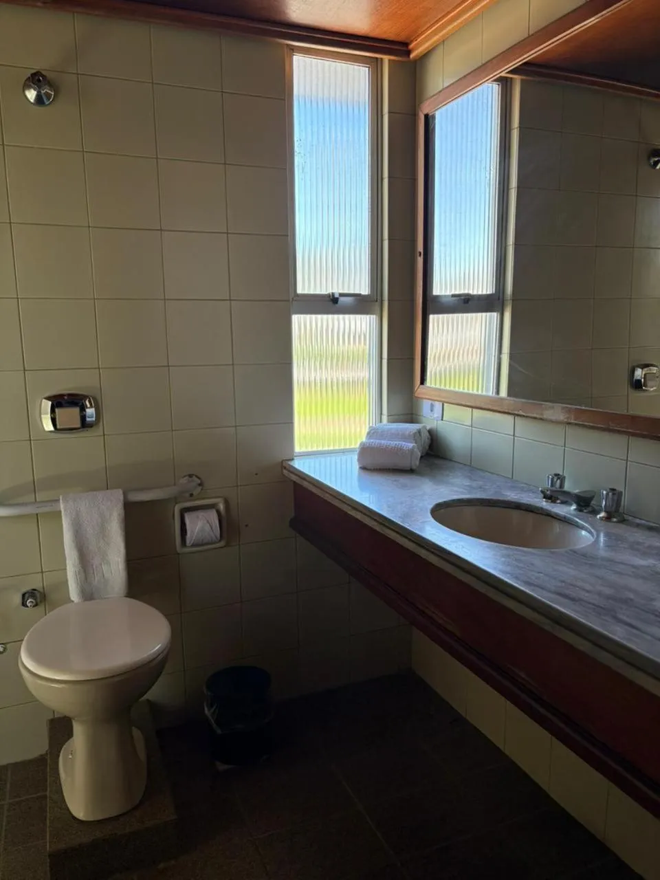 Twin Room - single occupancy in GoldMen Business Hotel Blumenau