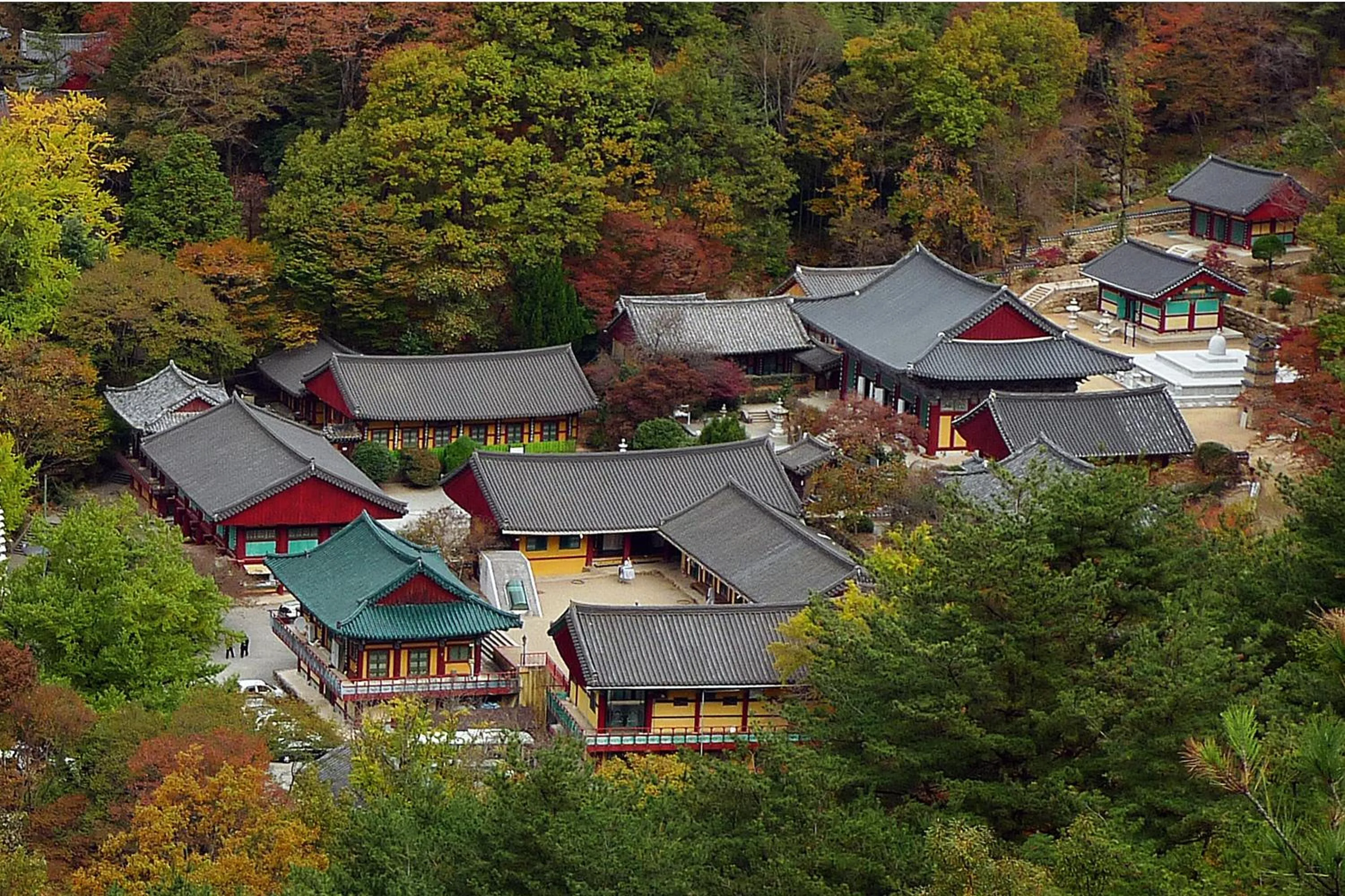 Neighbourhood in KensingtonResort JirisanHadong