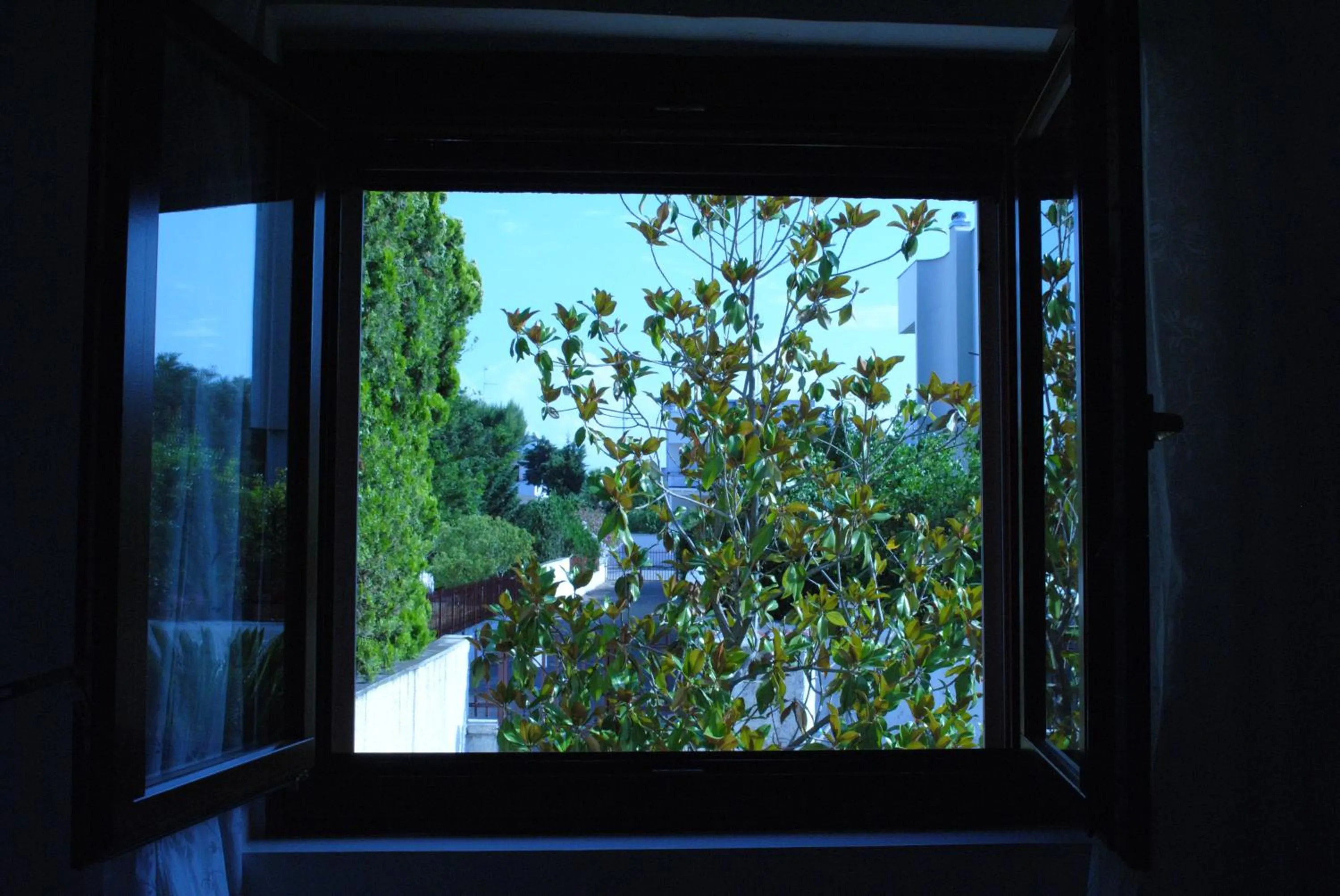 Garden view in Annavi