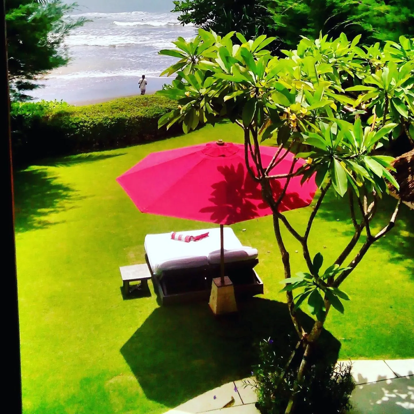 Garden in Anapuri Villas