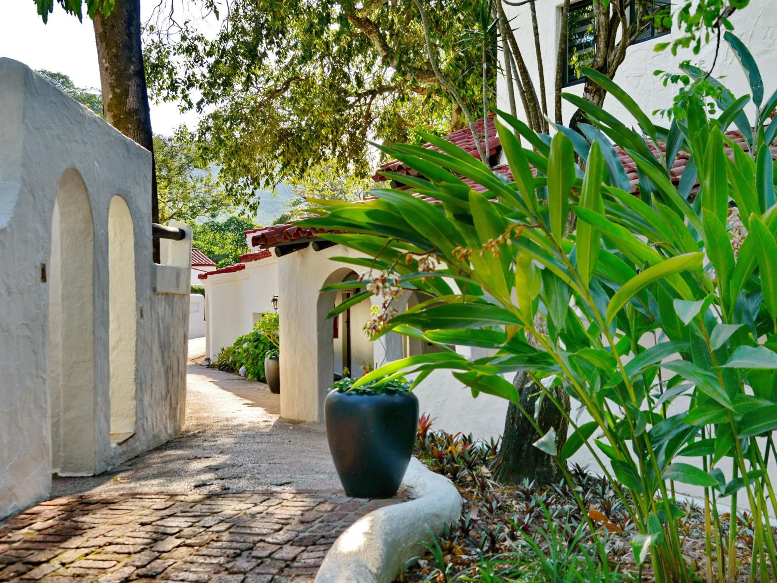 Garden view in ANEW Resort Hazyview Kruger Park