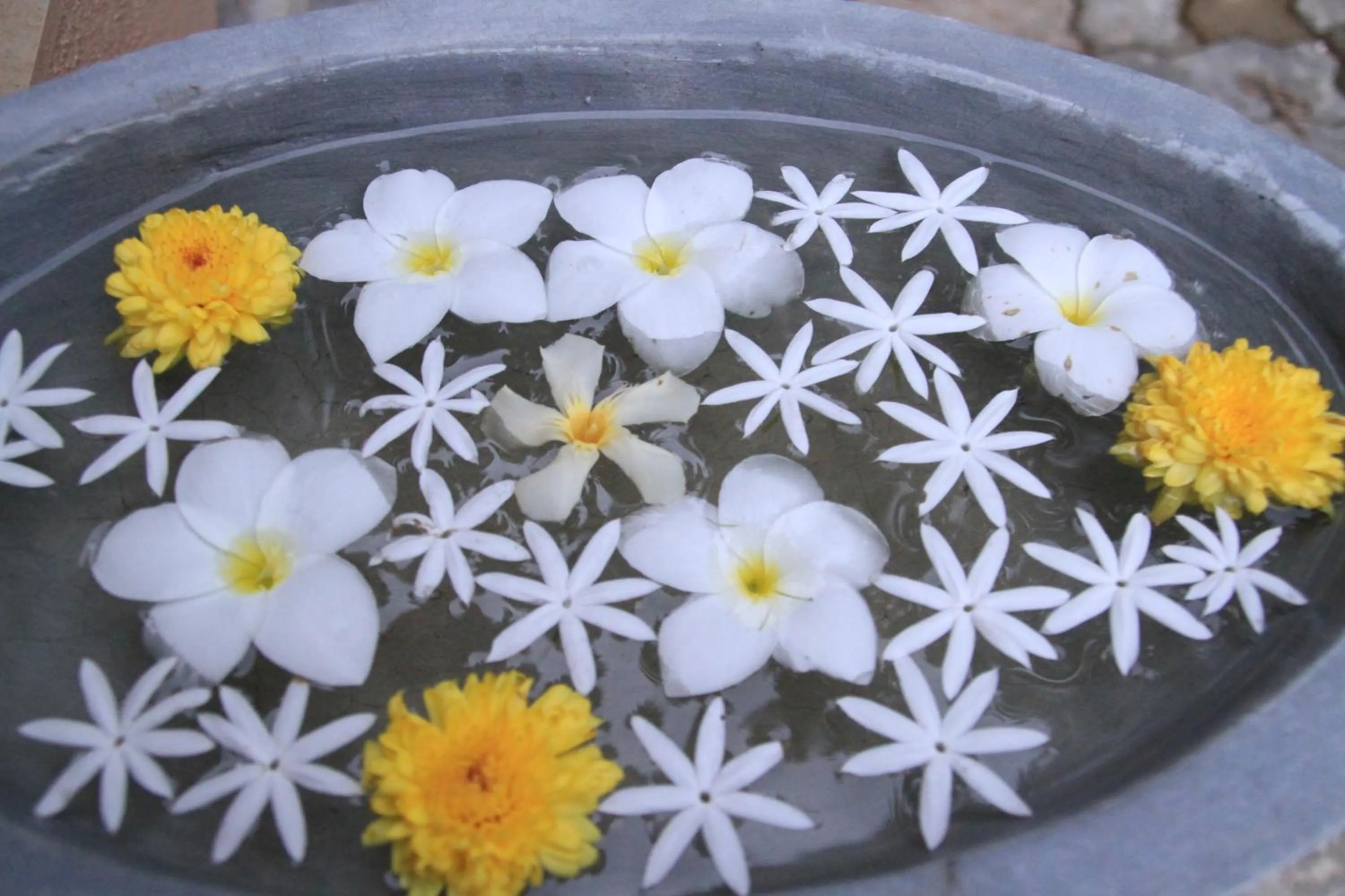 Decorative detail in Coral Palm Villa and Apartment