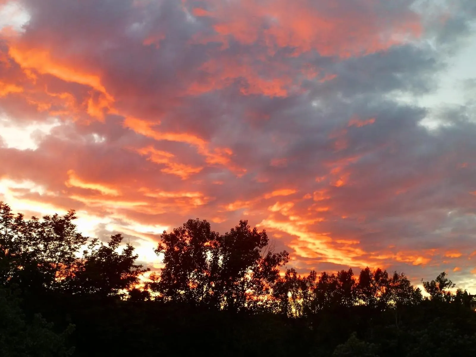 Natural landscape in Florence Pitti Loft