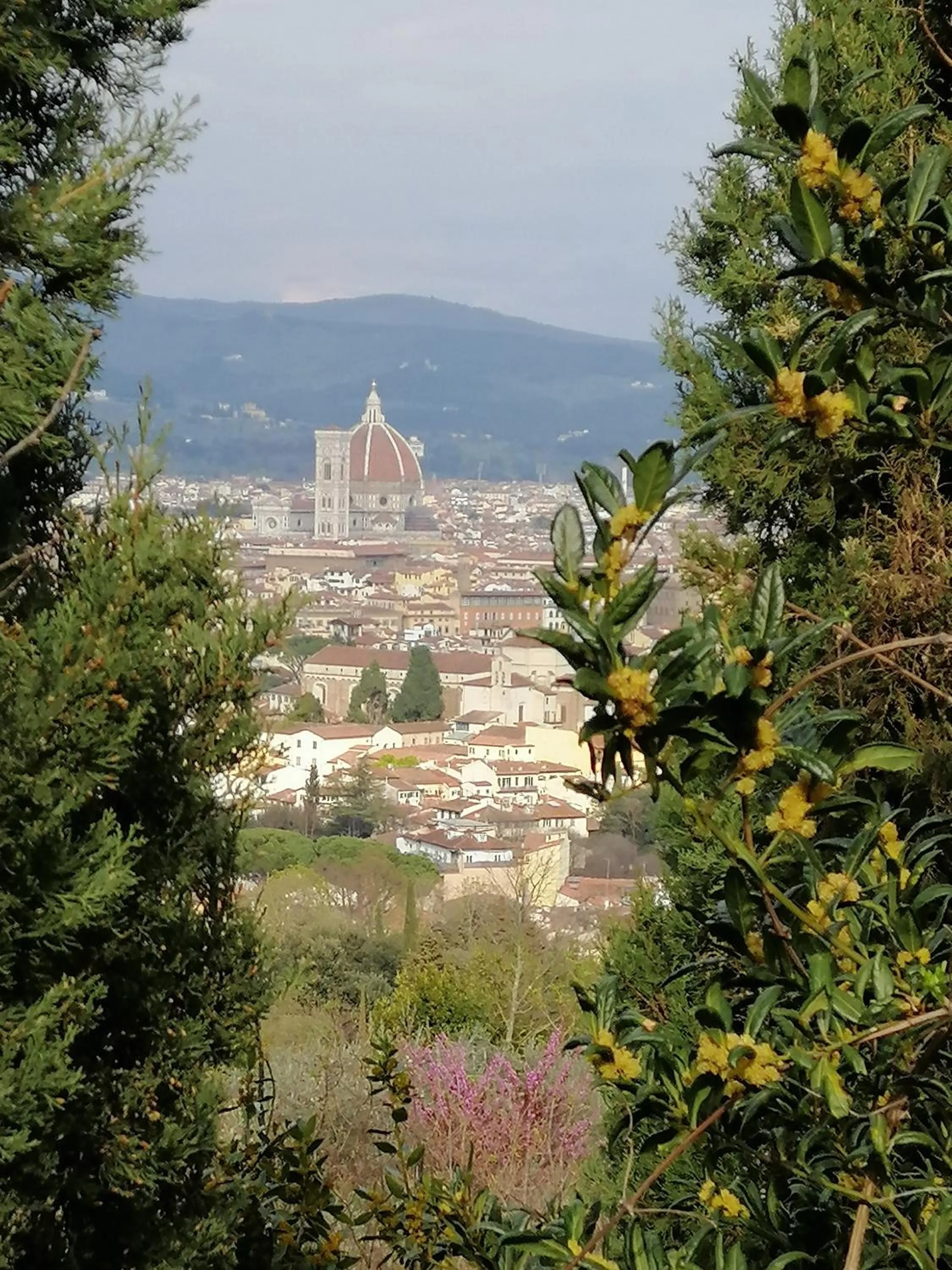 City view in Florence Pitti Loft