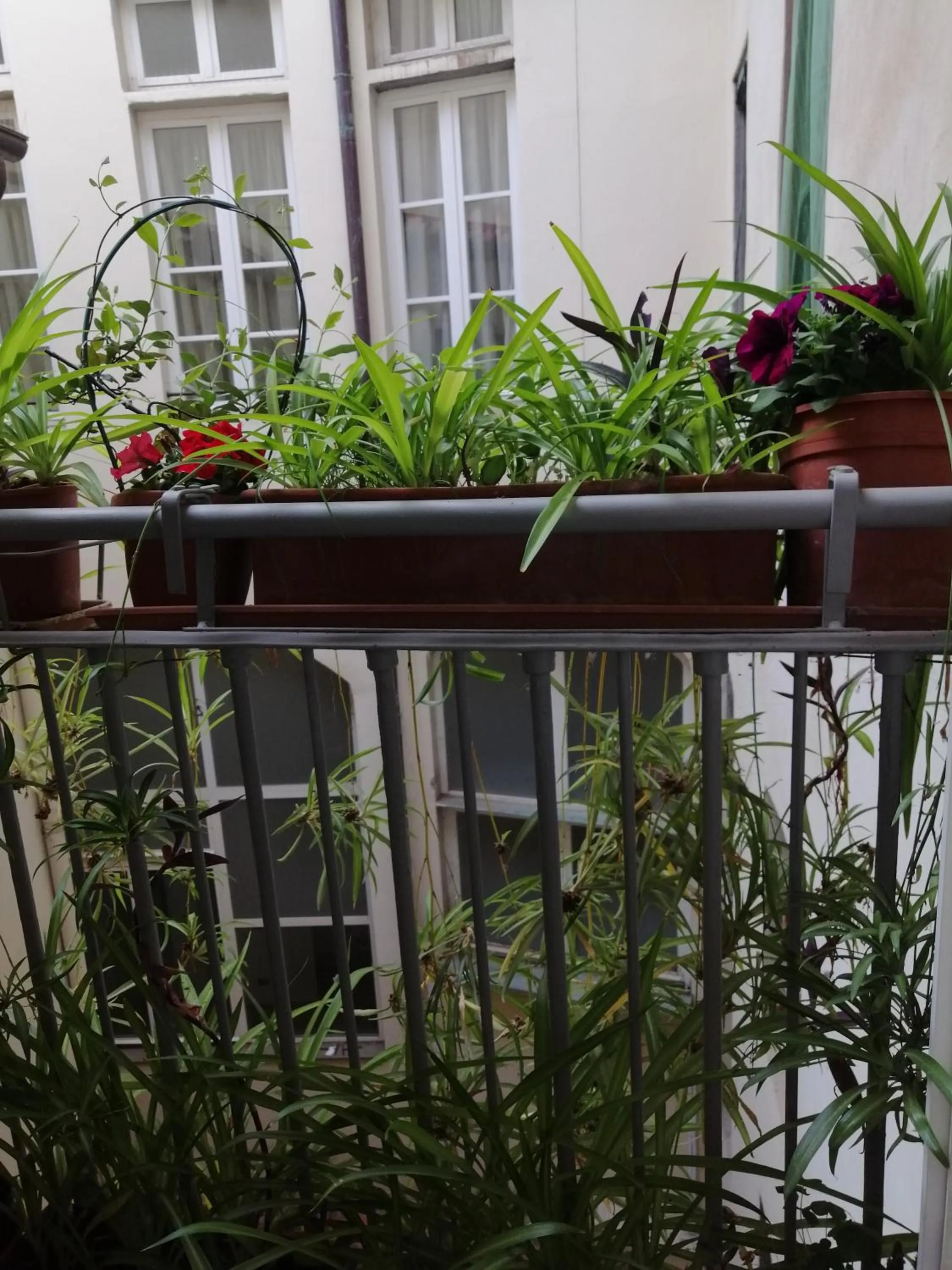 Inner courtyard view in Florence Pitti Loft