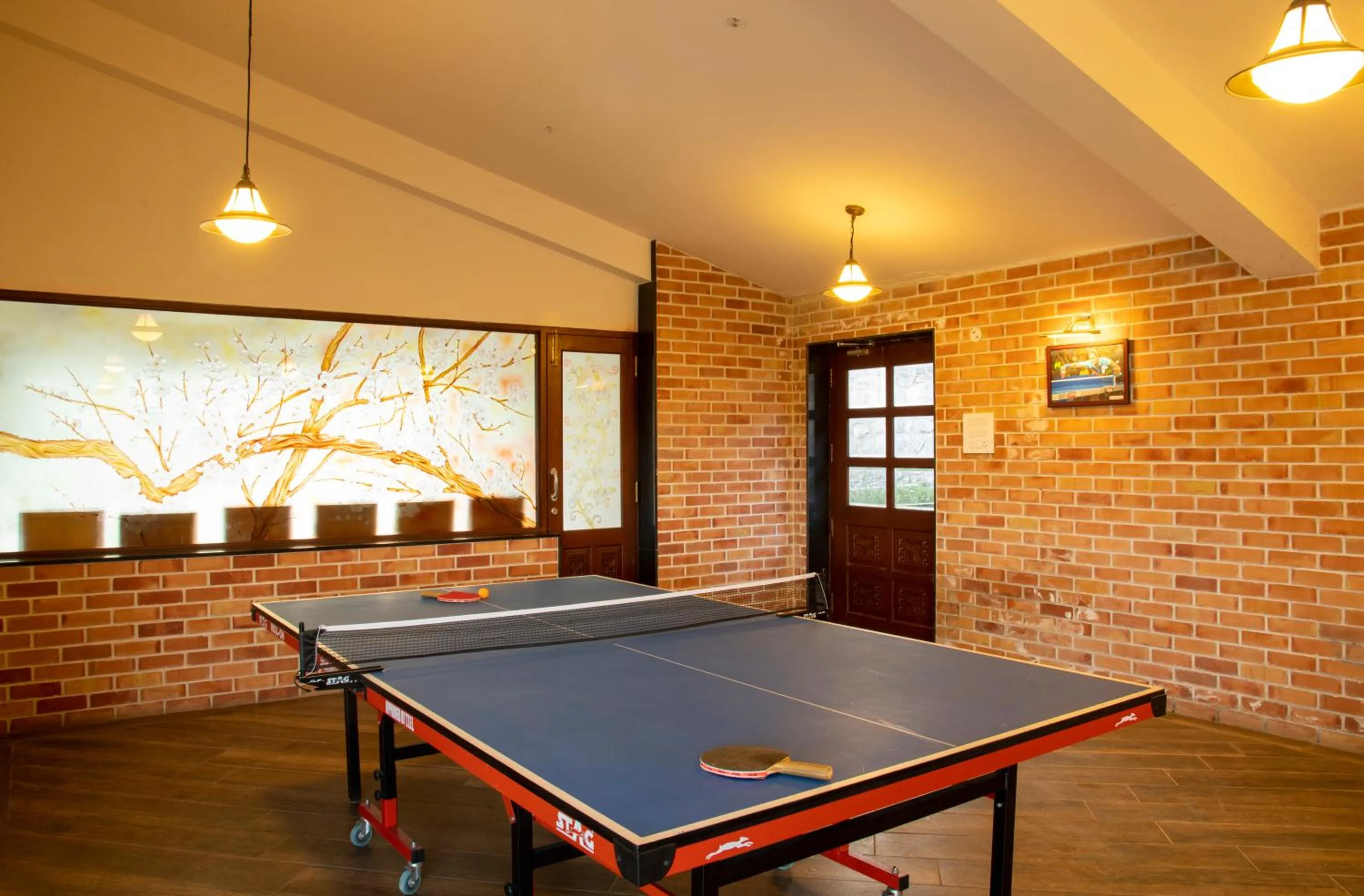 Game Room in Western Valley Resorts Ooty