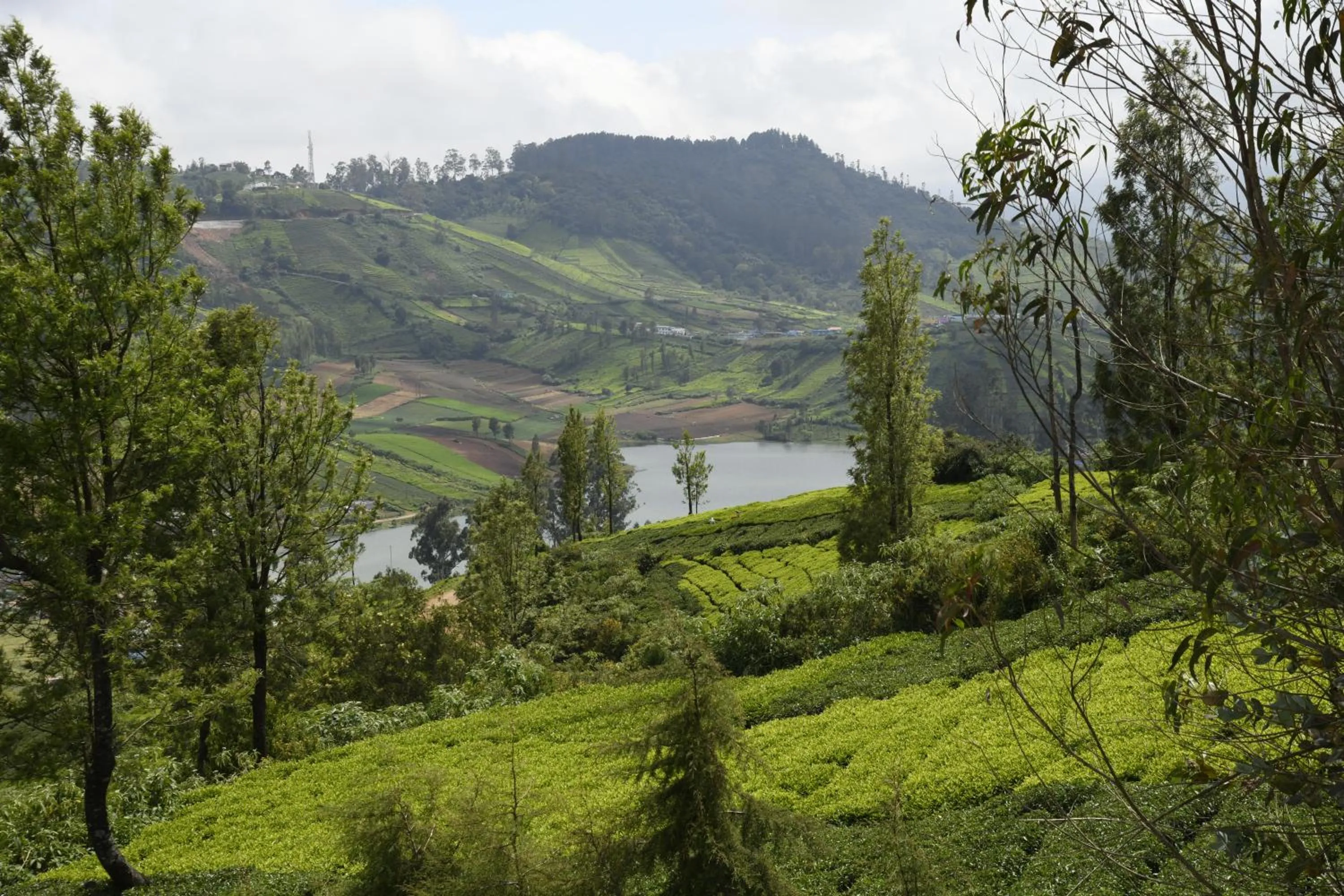 Natural landscape in Western Valley Resorts Ooty