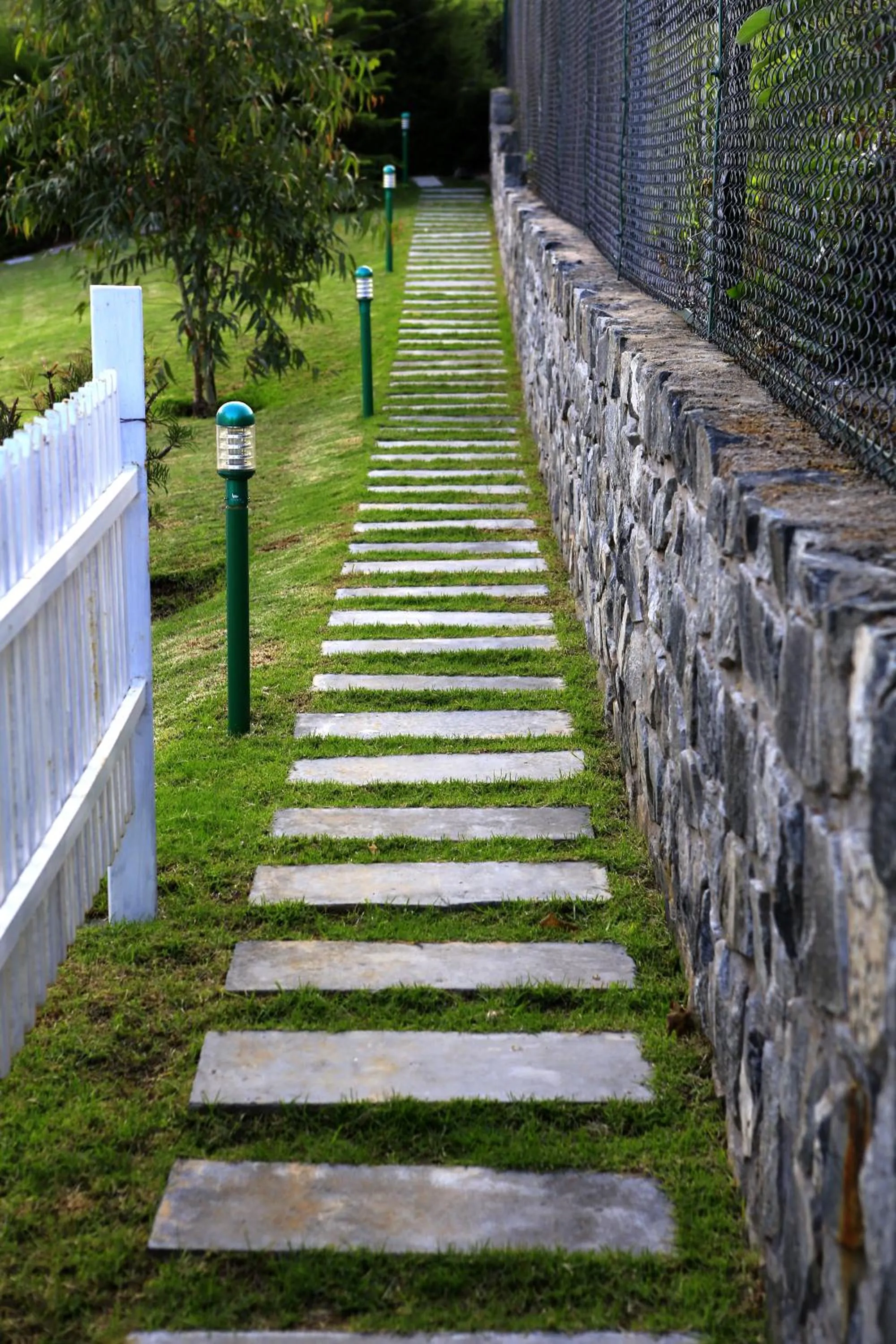 Day in Western Valley Resorts Ooty