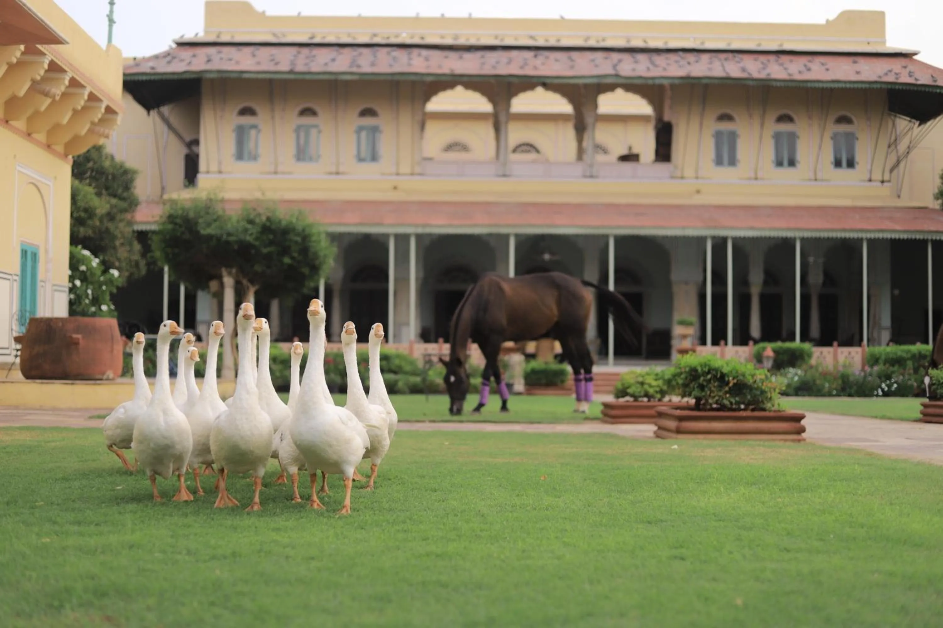 Garden in Castle Kanota