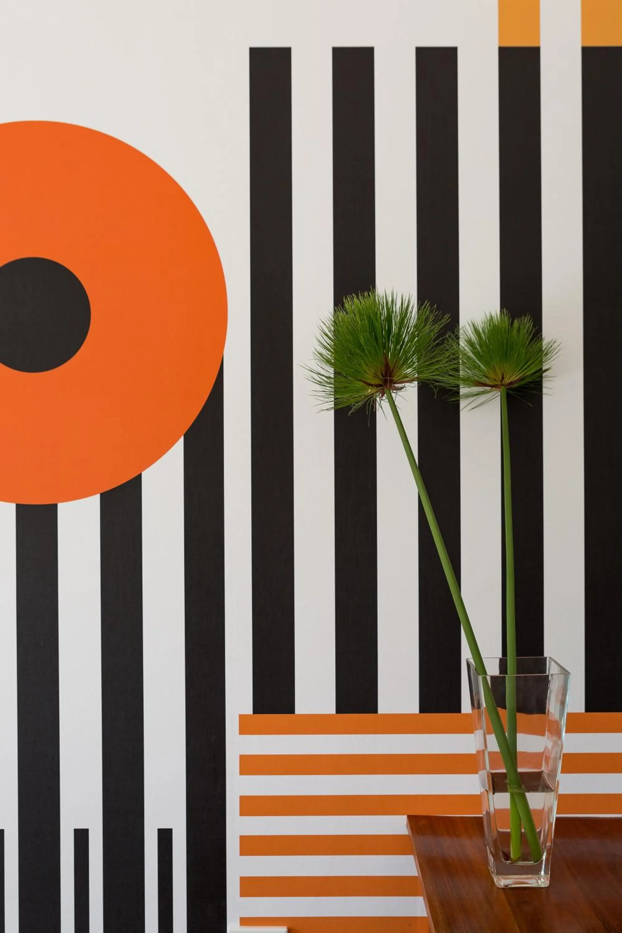 View (from property/room) in Bloomestate Swellendam