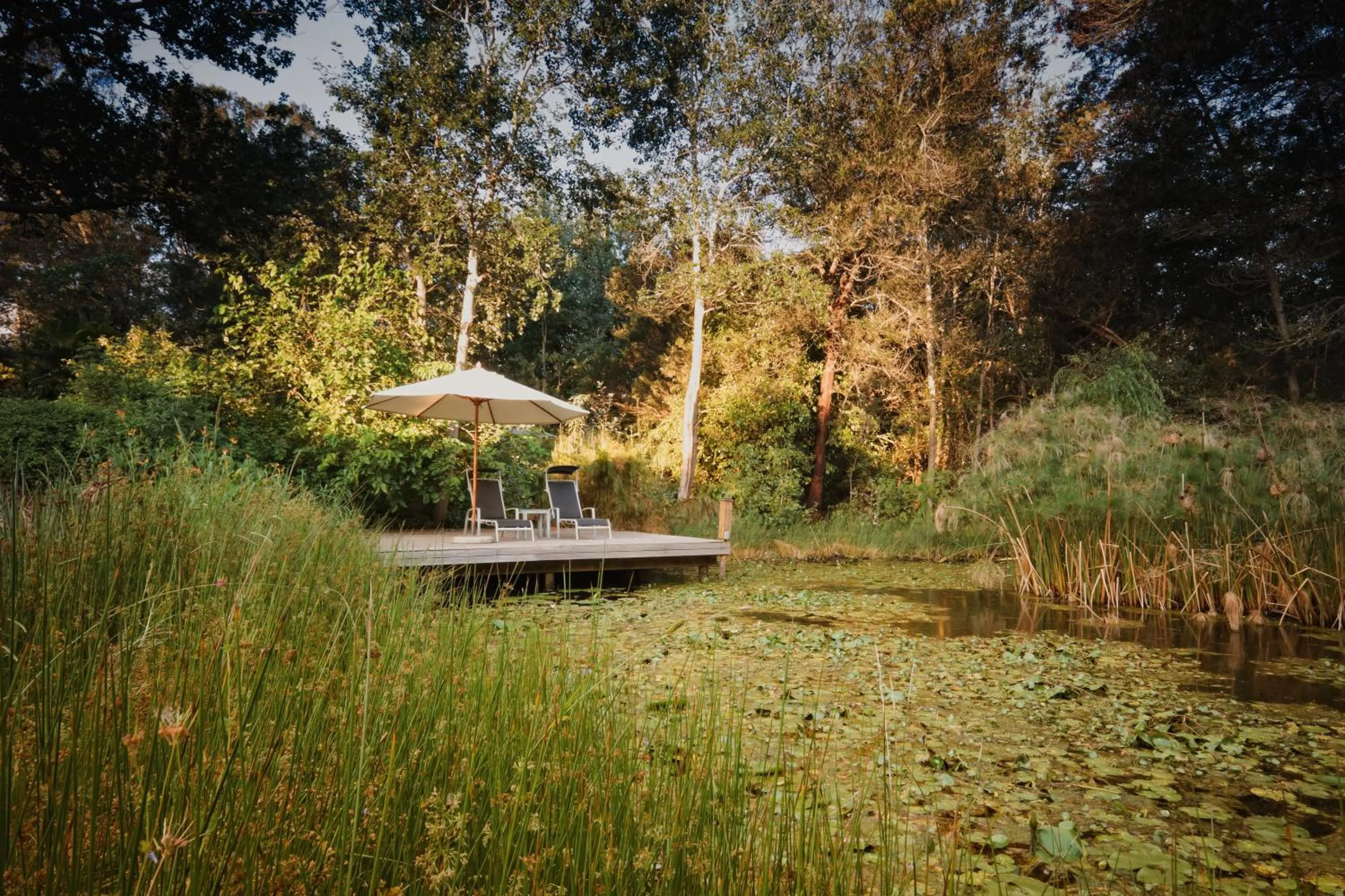 Natural landscape in Bloomestate Swellendam