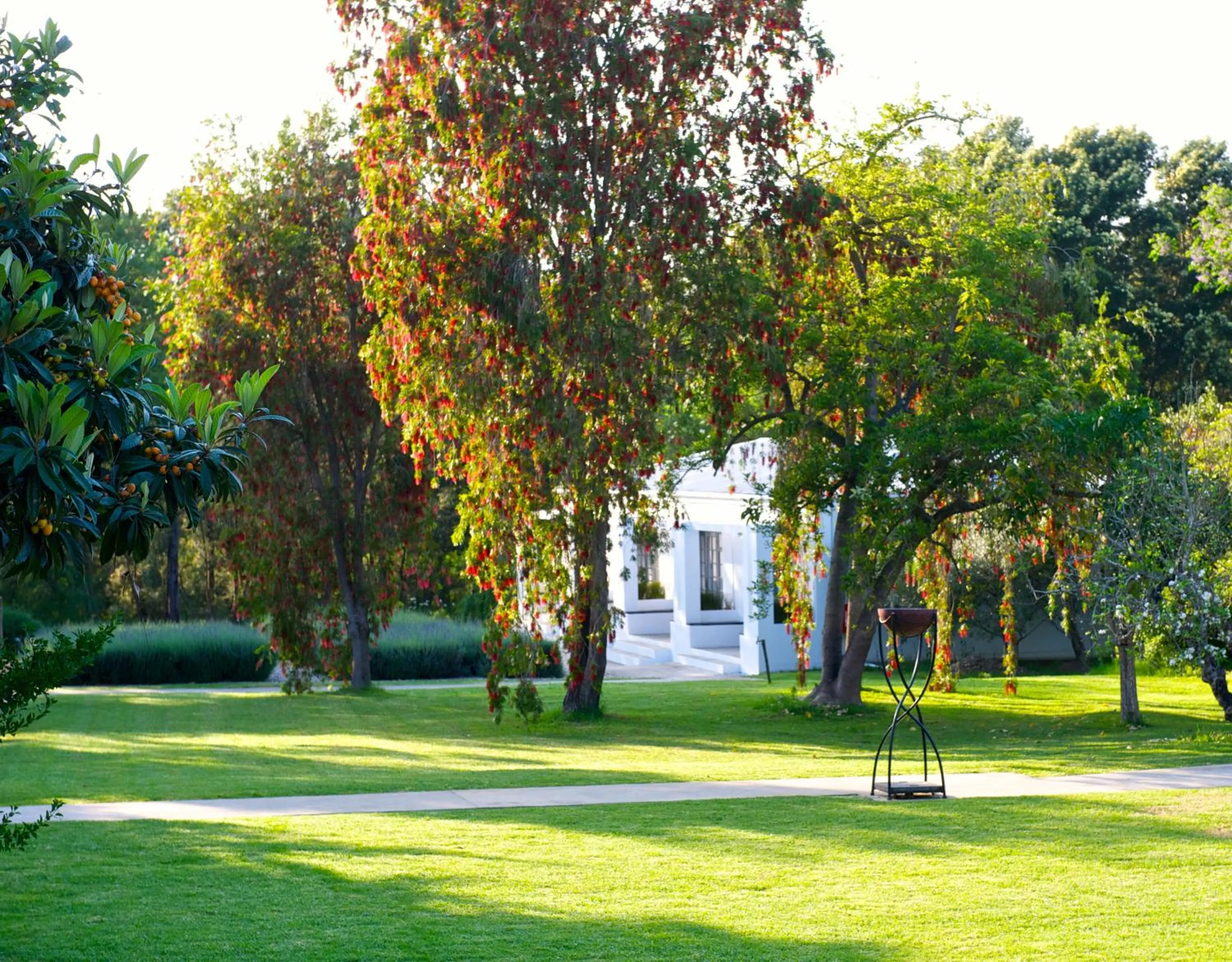 Garden in Bloomestate Swellendam