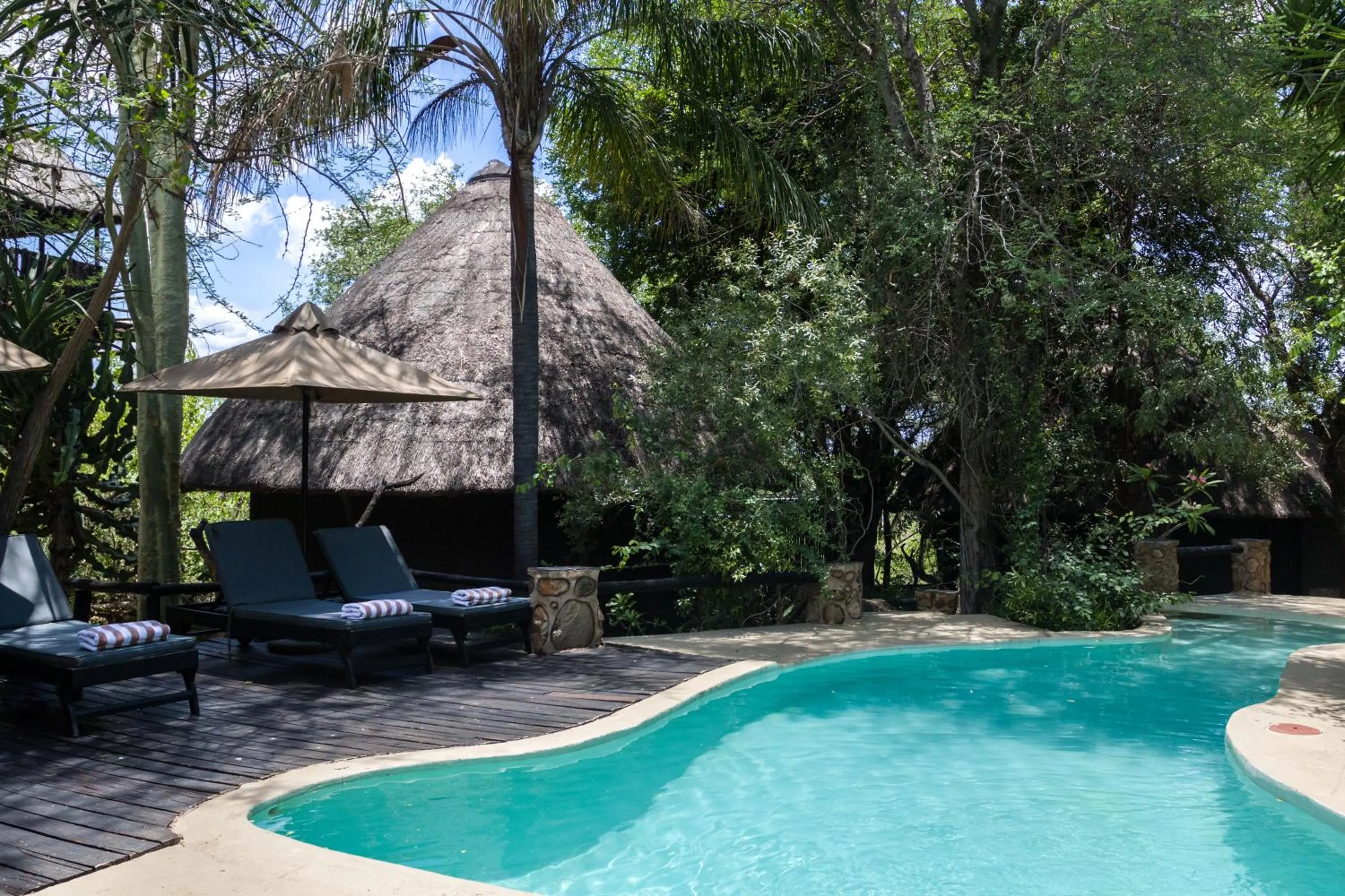 Swimming pool in Ezulwini Game Lodges