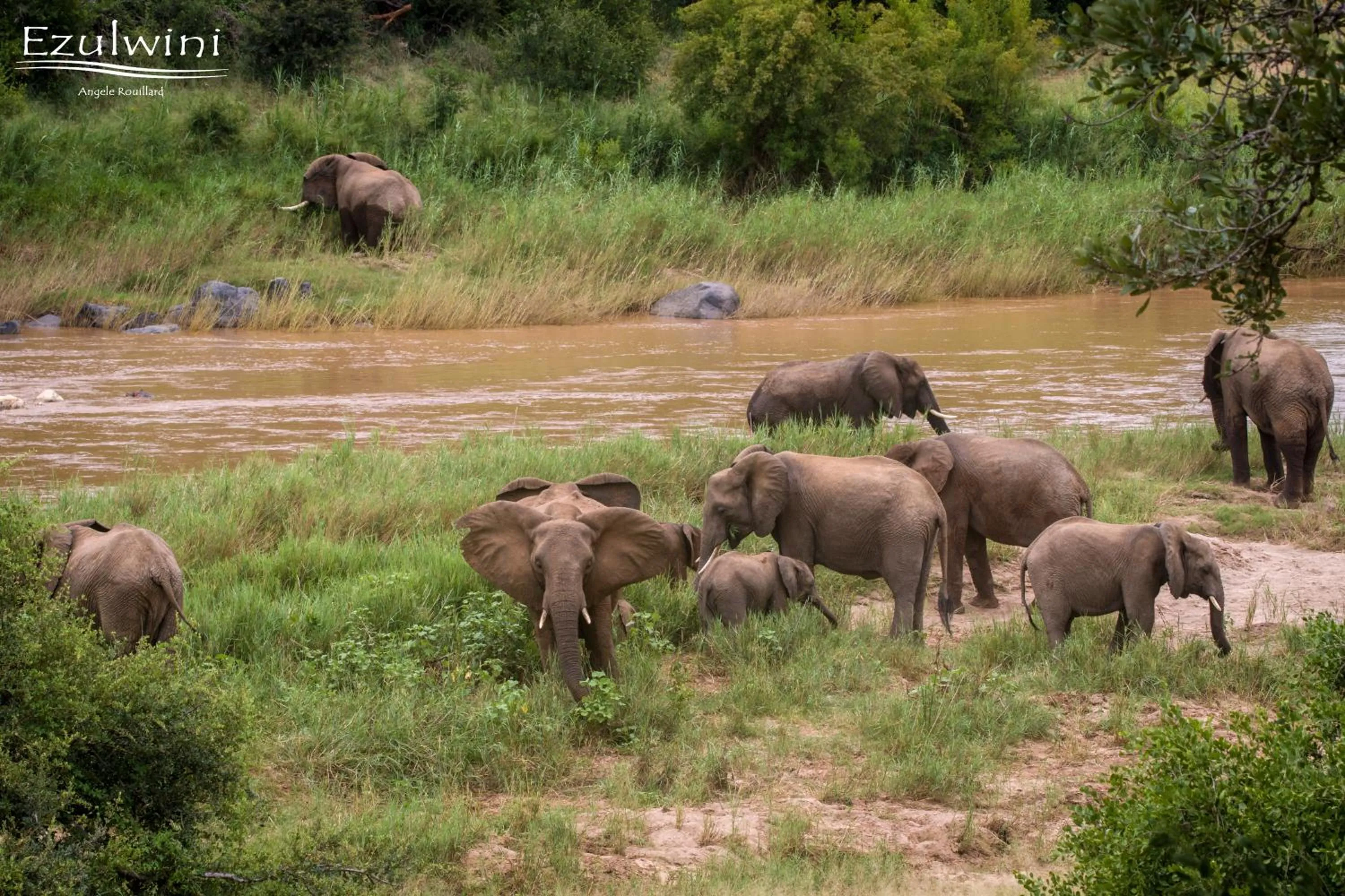 View (from property/room) in Ezulwini Game Lodges