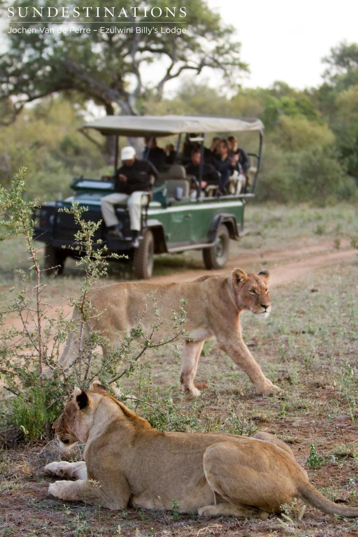 Activities in Ezulwini Game Lodges