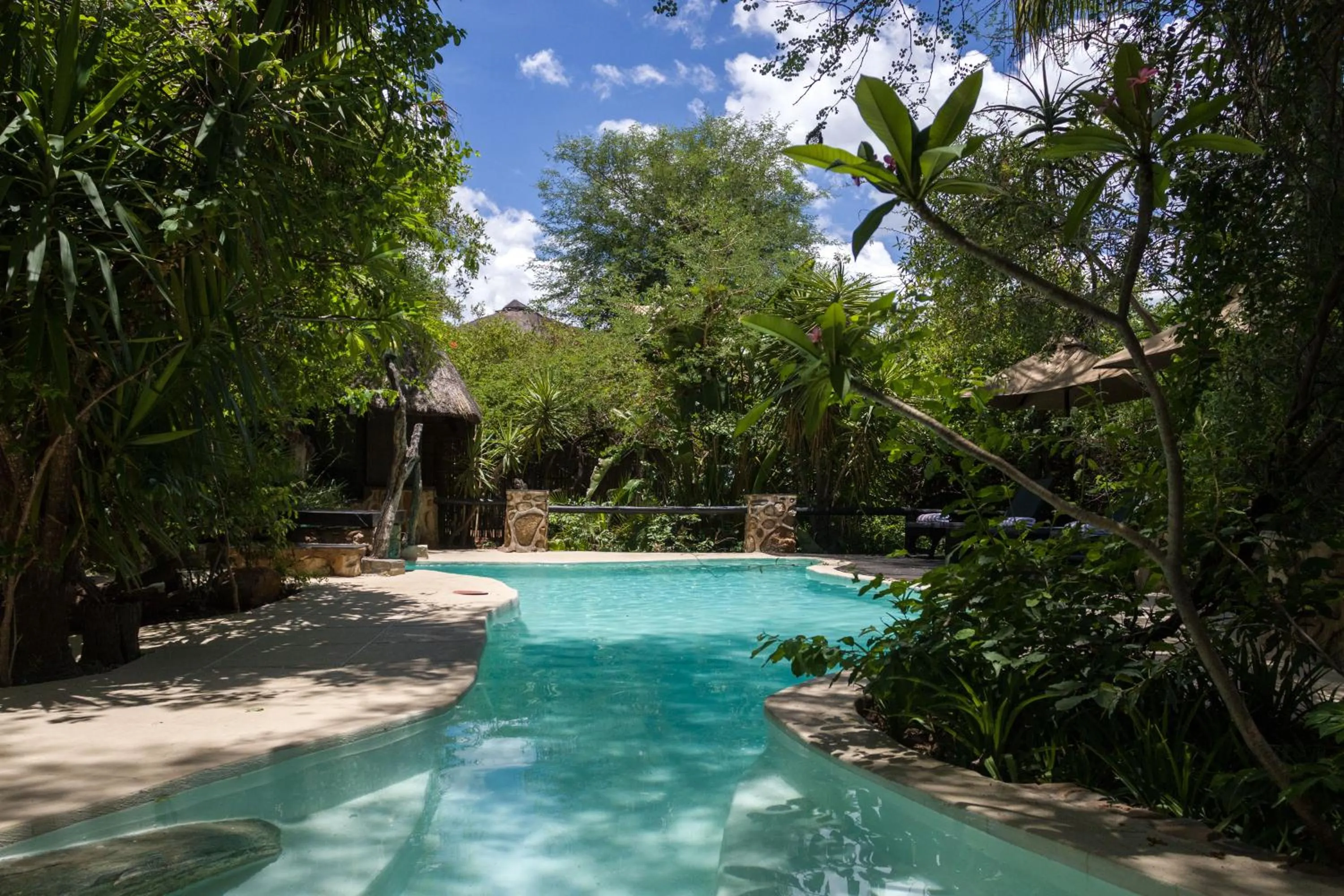 Swimming pool in Ezulwini Game Lodges