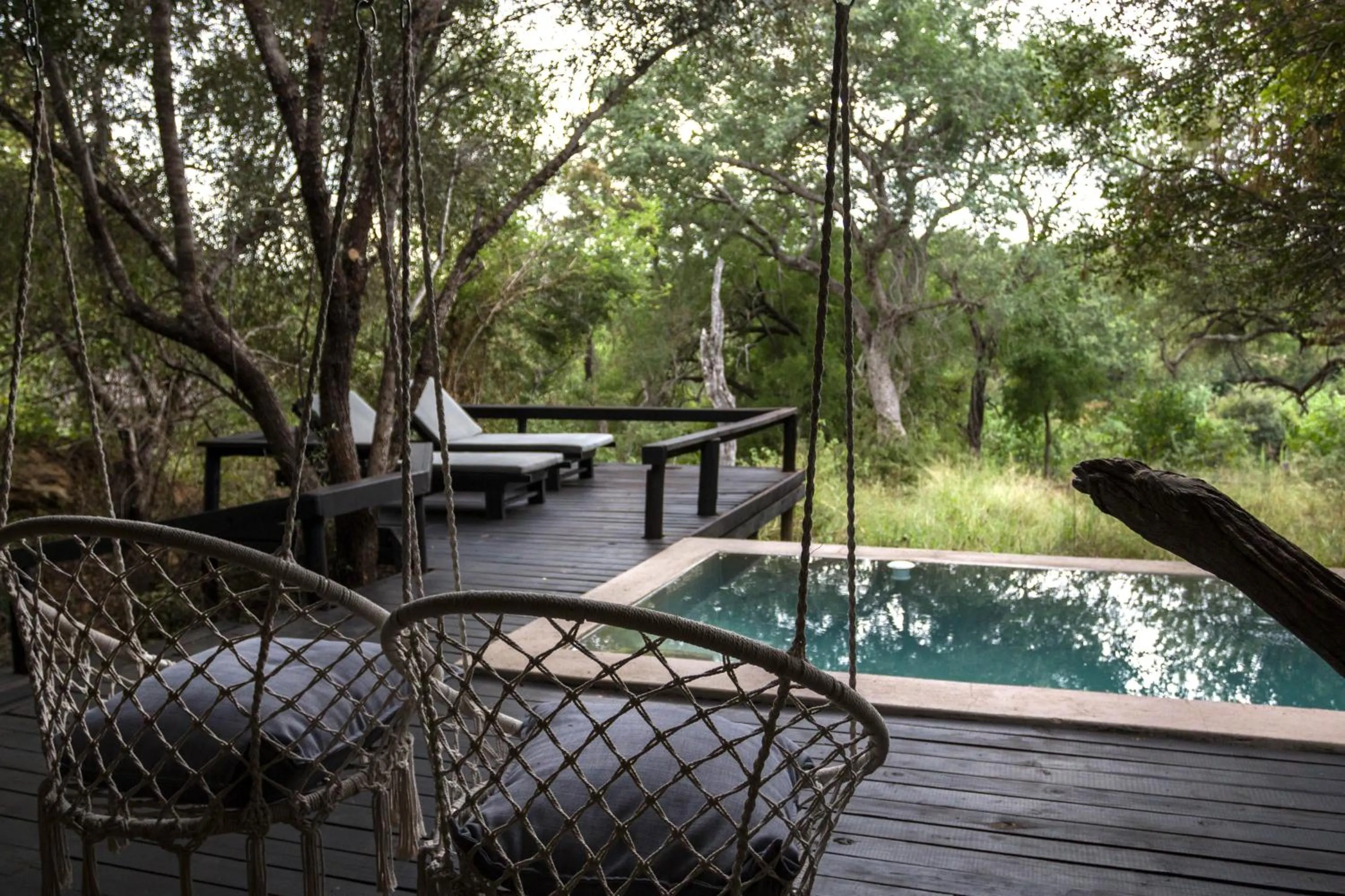 View (from property/room) in Ezulwini Game Lodges