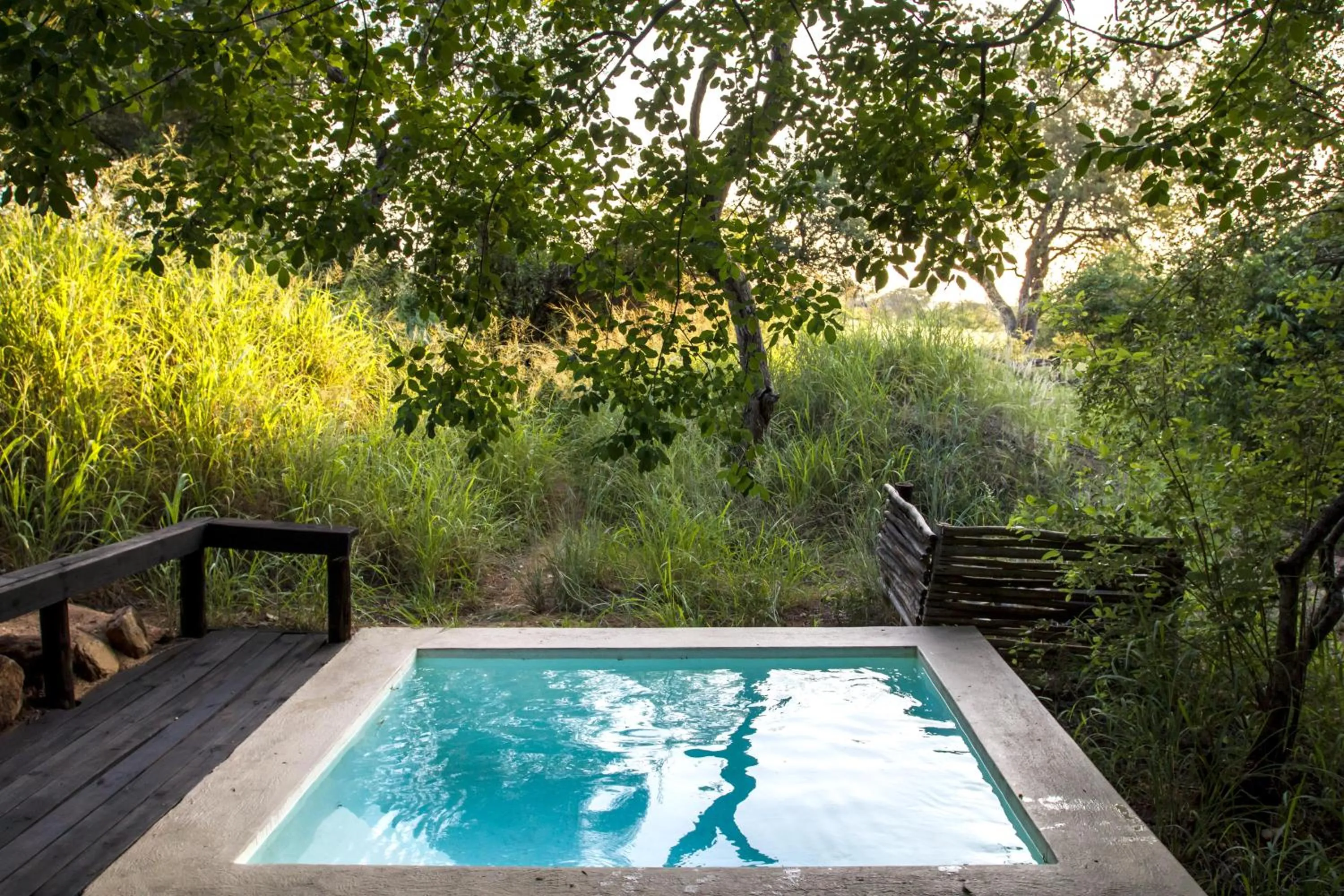 View (from property/room) in Ezulwini Game Lodges