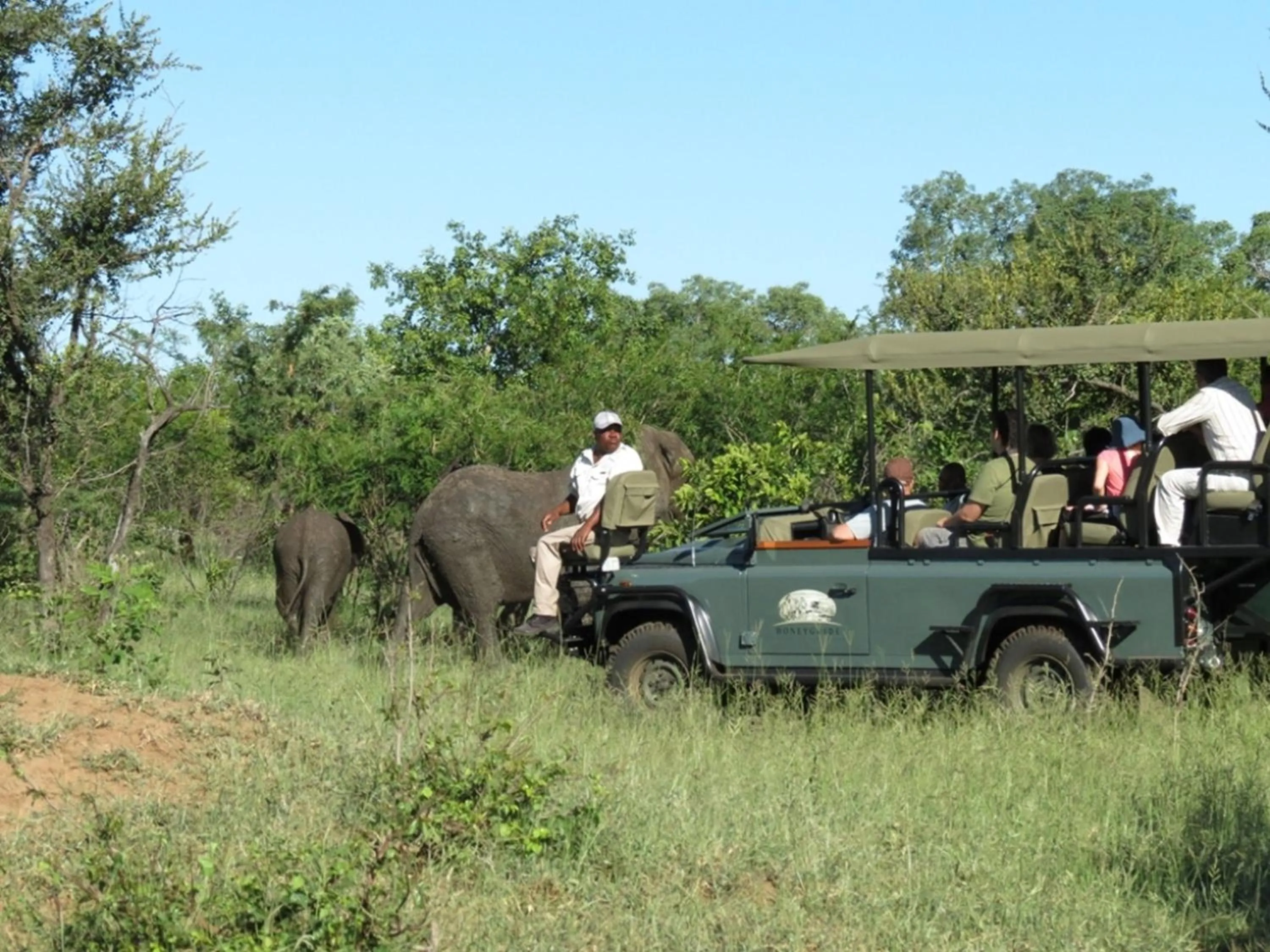 Area and facilities in Honeyguide Tented Safari Camp - Khoka Moya