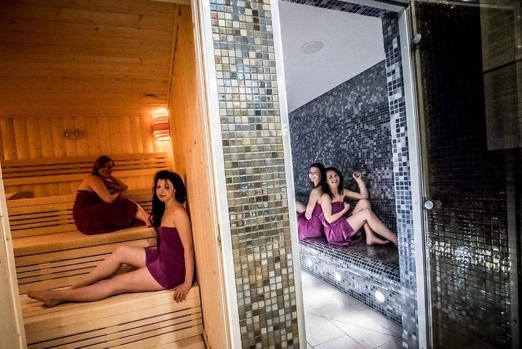 Sauna in Hotel Pałac Poledno