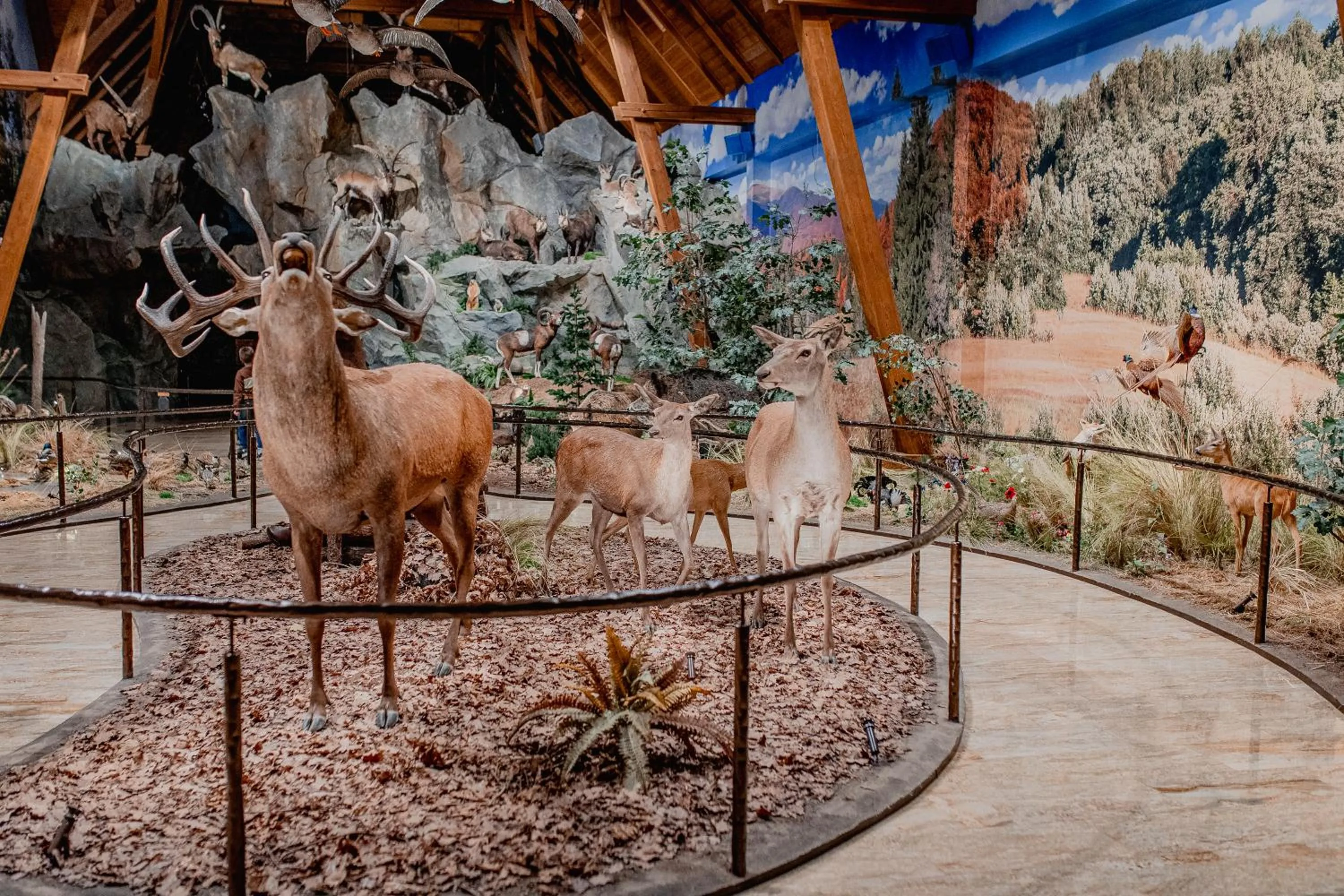 Hotel Pałac Poledno