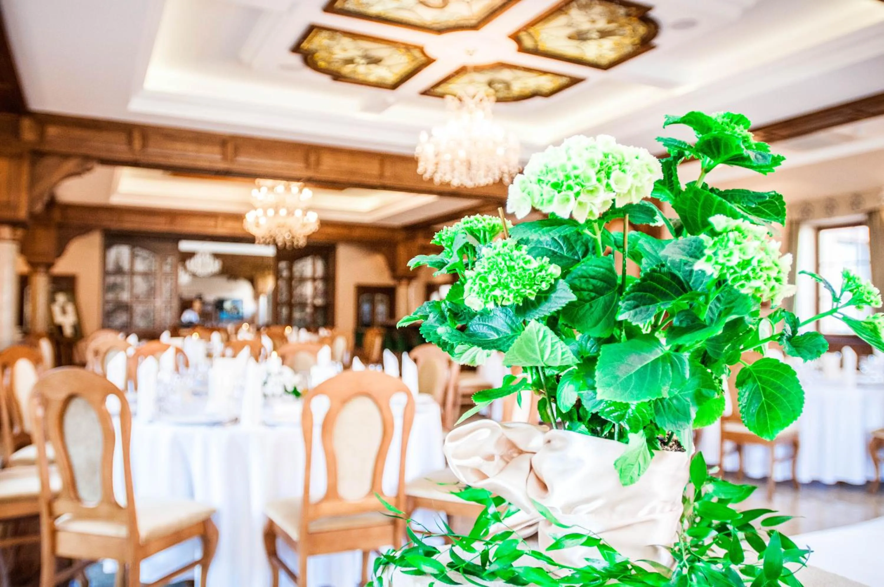 Property building in Hotel Pałac Poledno