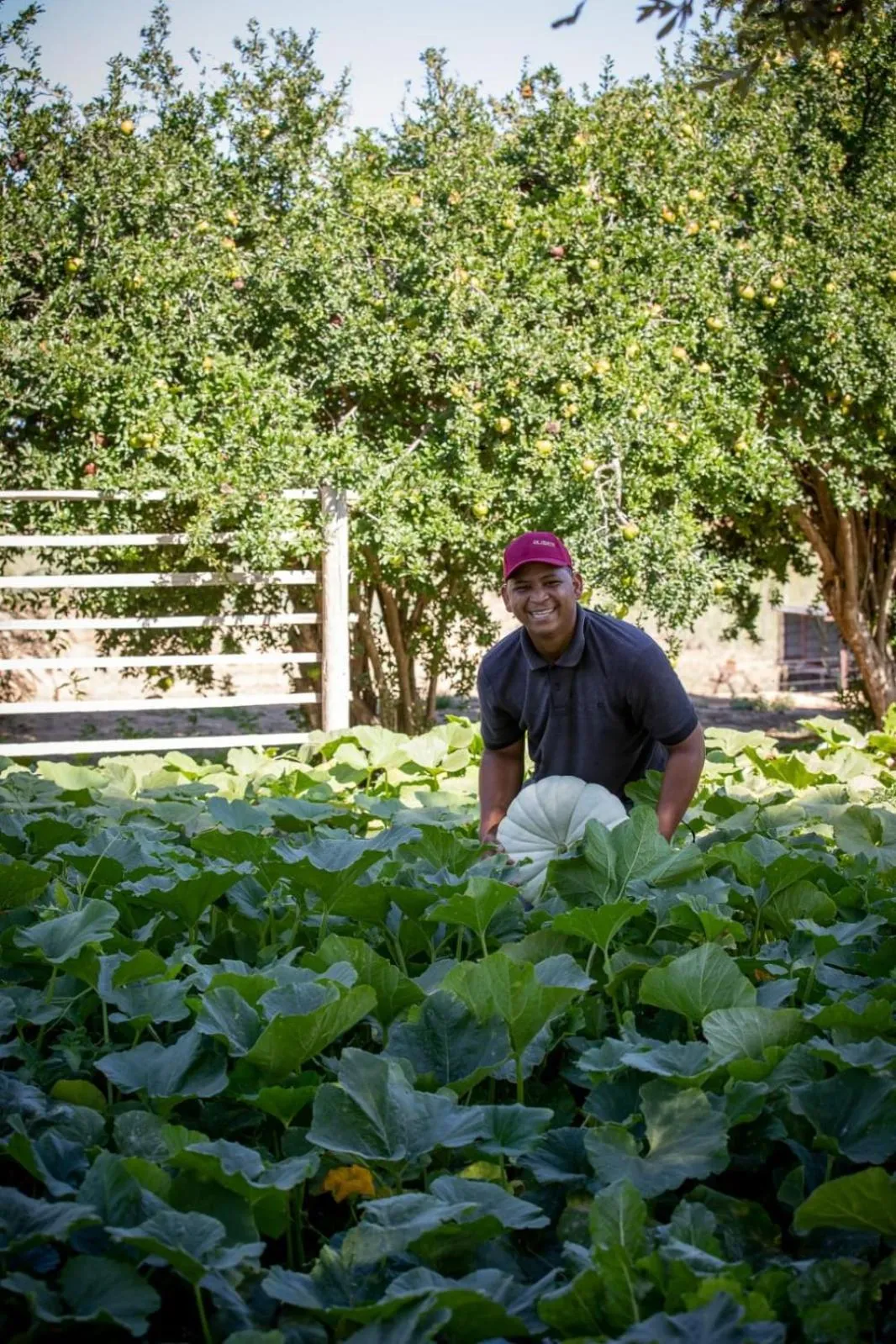 Garden in De Zeekoe Guest Farm