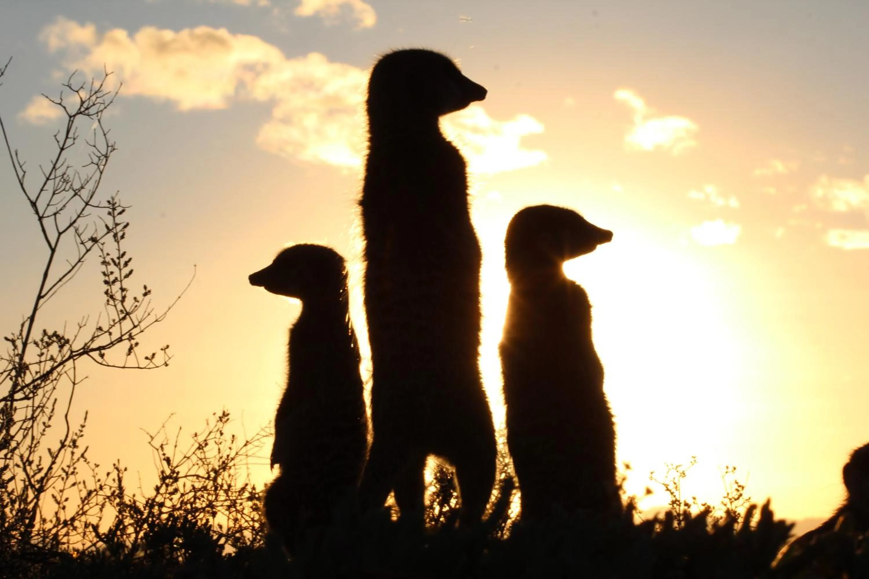 Activities in De Zeekoe Guest Farm