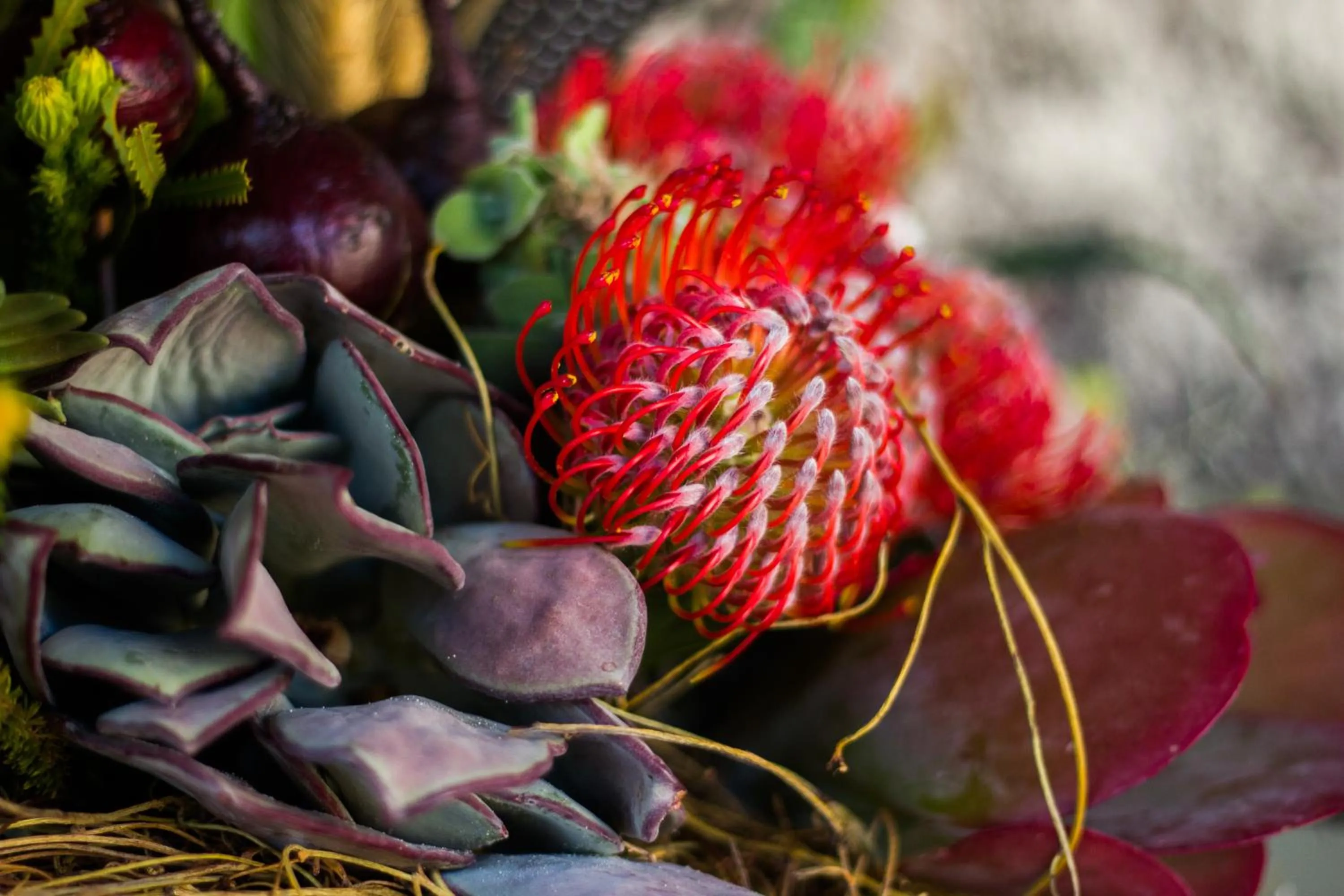 View (from property/room) in De Zeekoe Guest Farm