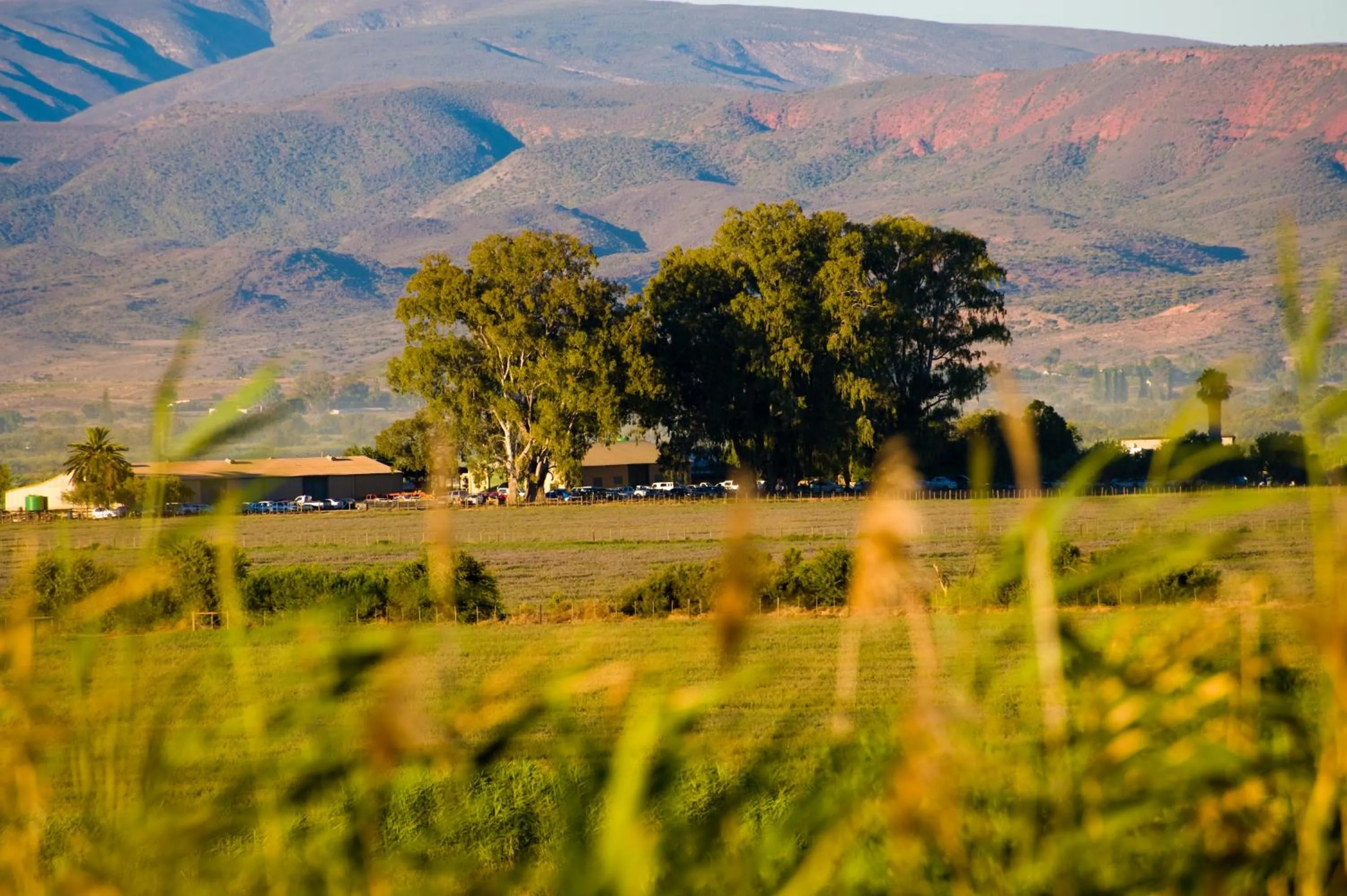 Mountain view in De Zeekoe Guest Farm