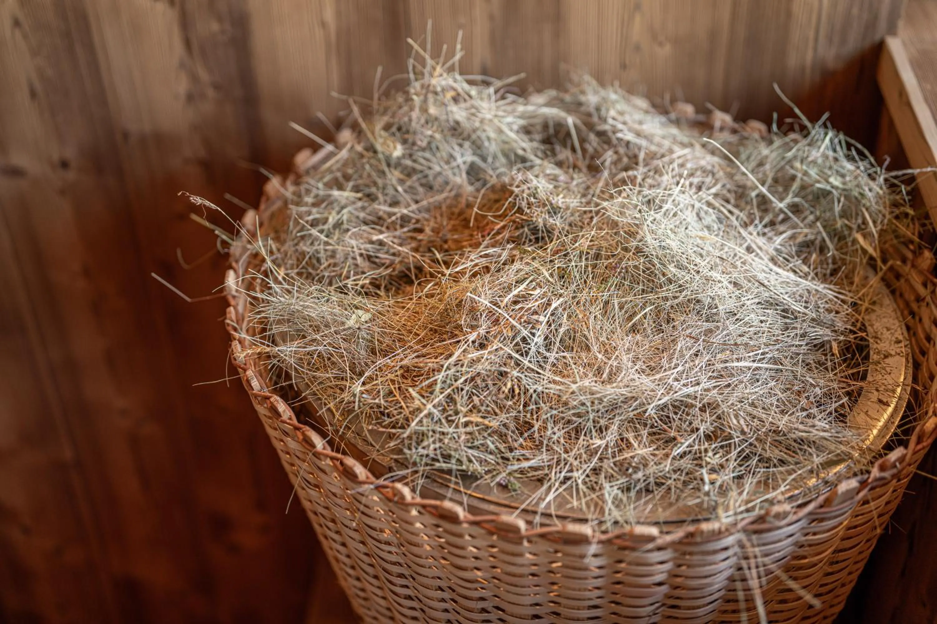 Spa and wellness centre/facilities in Albergo Garni Edy (B&B)