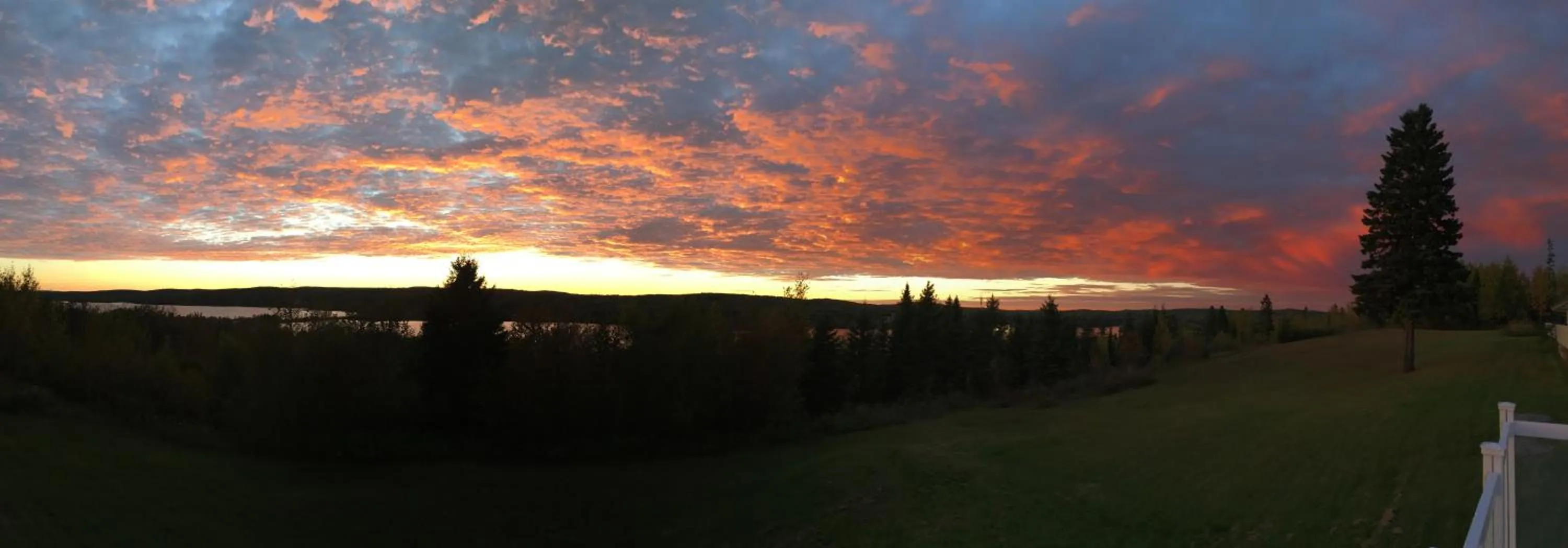 Garden view in Auberge Motel Panorama