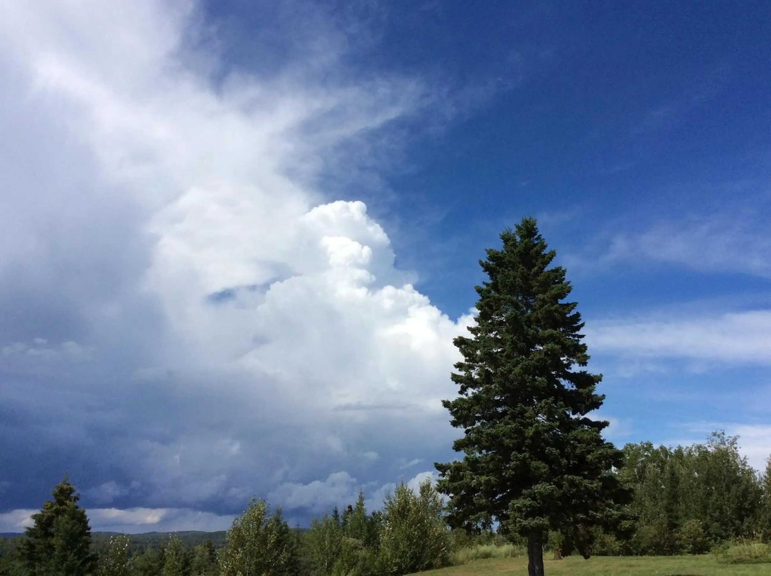 Natural landscape in Auberge Motel Panorama