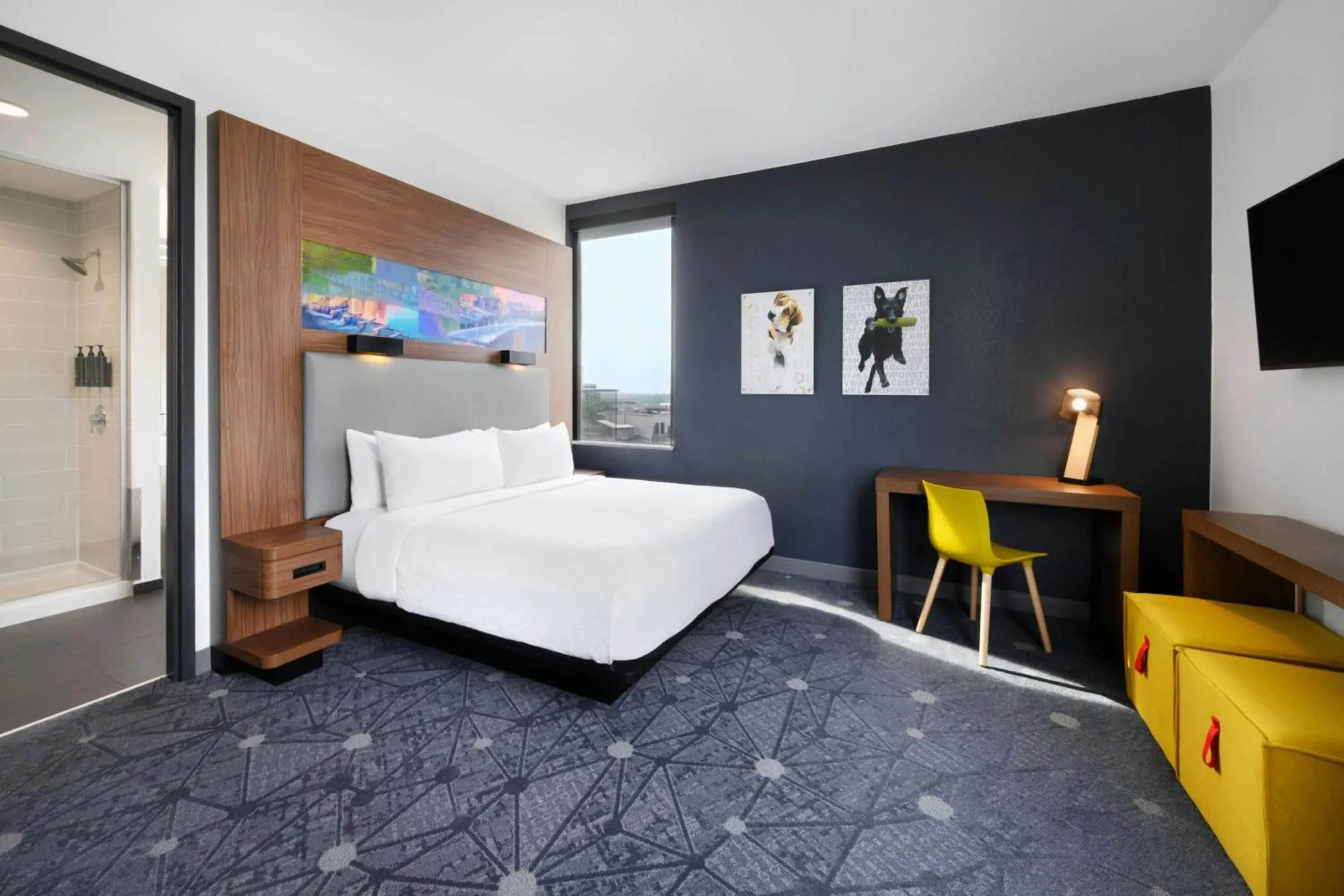 Suite, 1 King in Aloft Greenville Downtown Suite, 1 King in Aloft Greenville Downtown