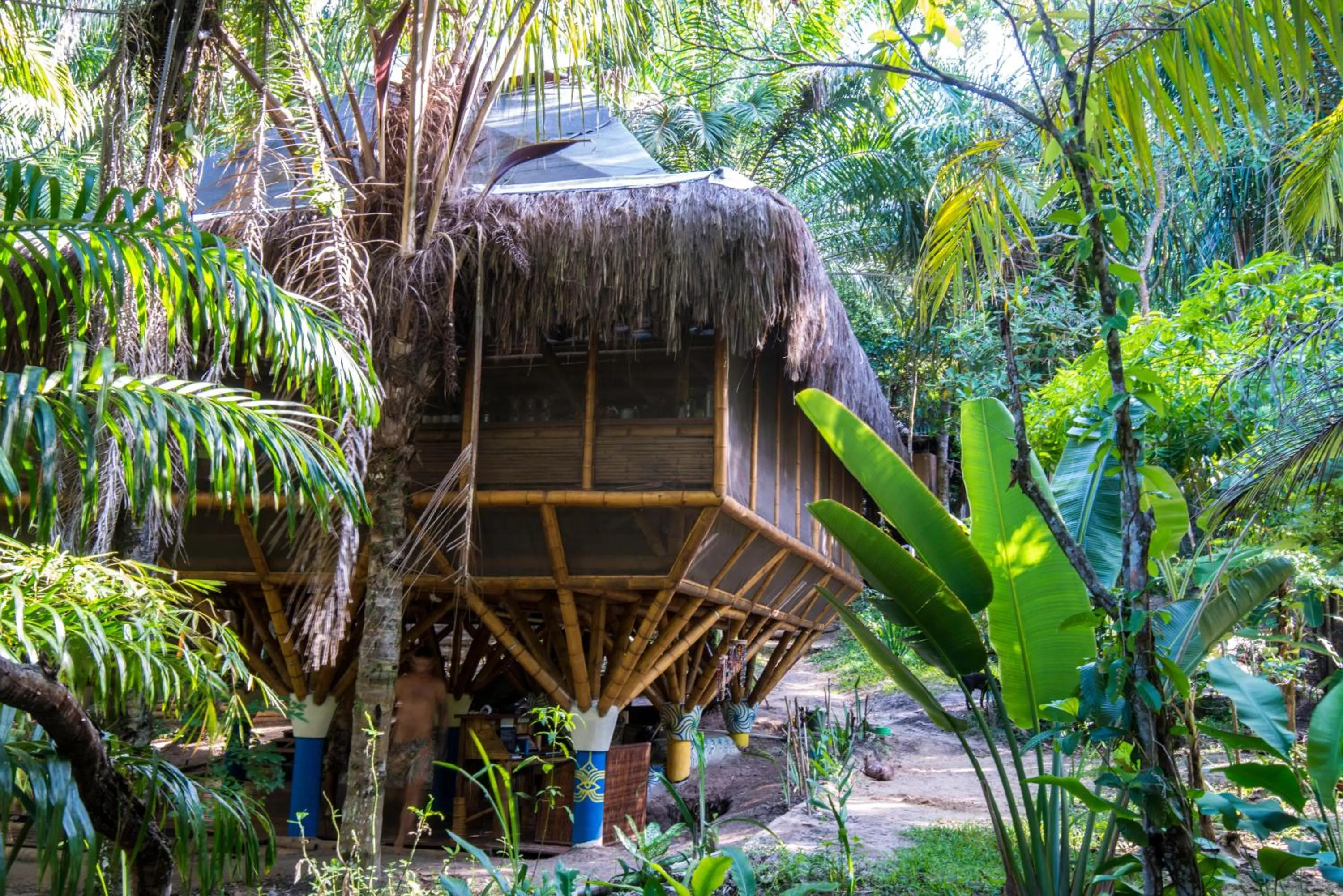 Communal kitchen in Universo Pol Bamboo Hostel