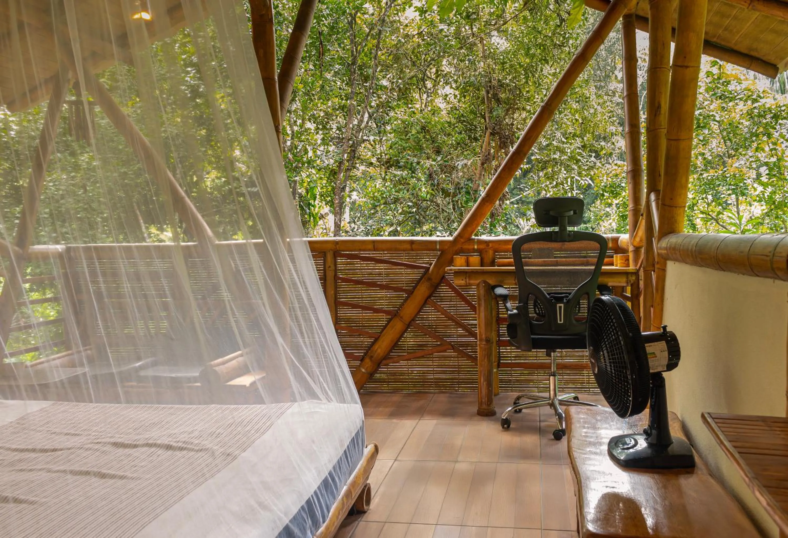 Garden view in Universo Pol Bamboo Hostel