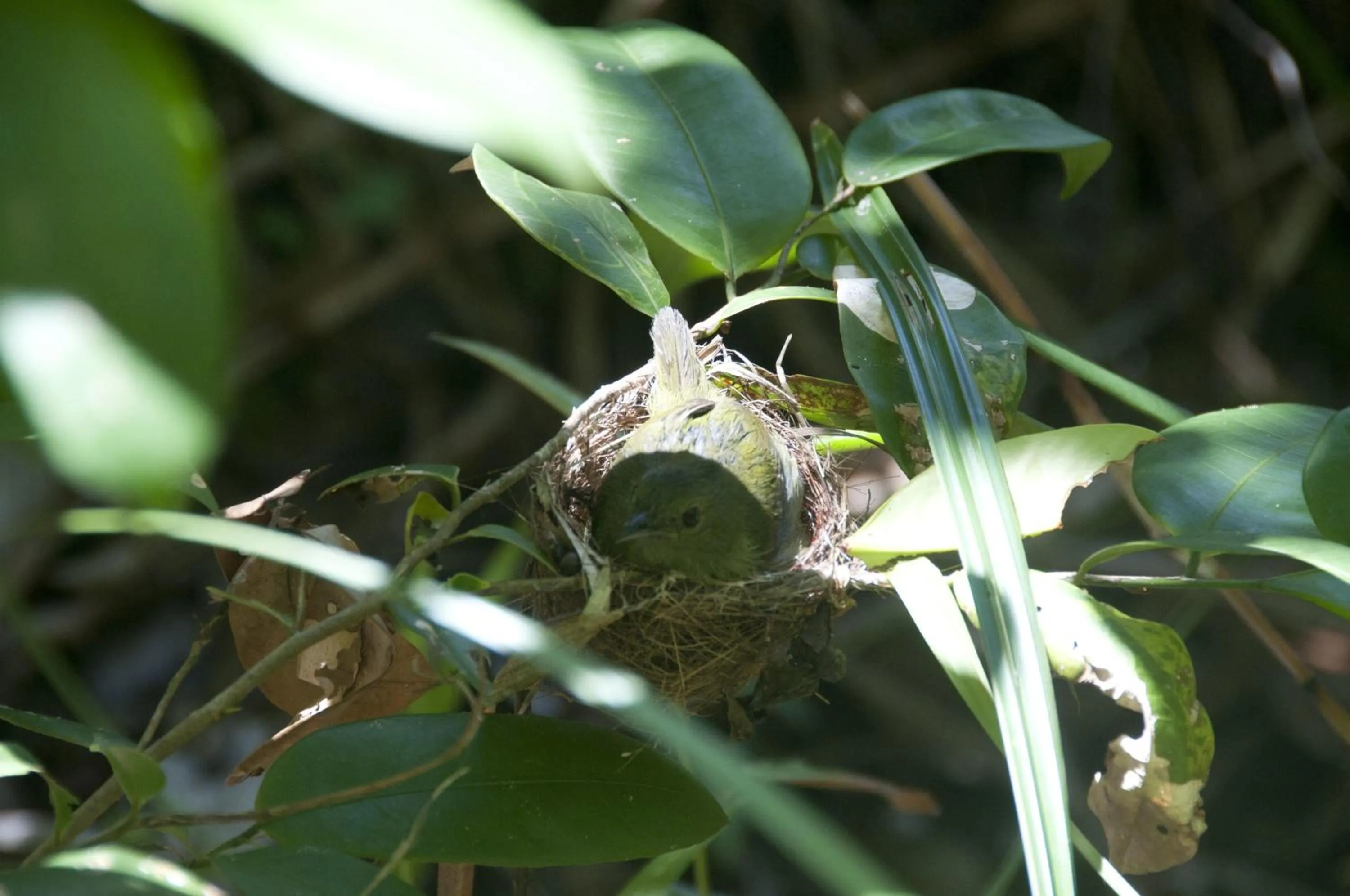 Day in Universo Pol Bamboo Hostel