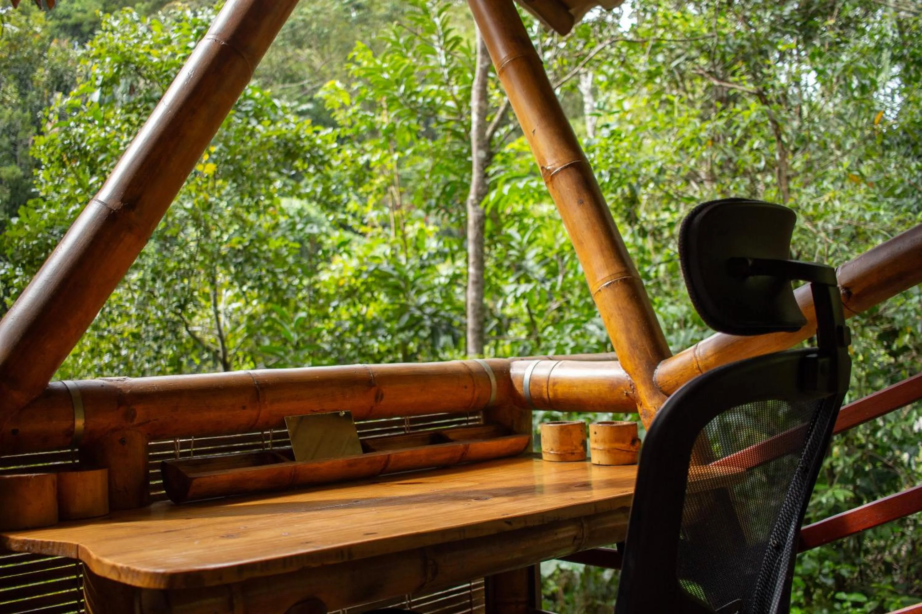 Garden view in Universo Pol Bamboo Hostel