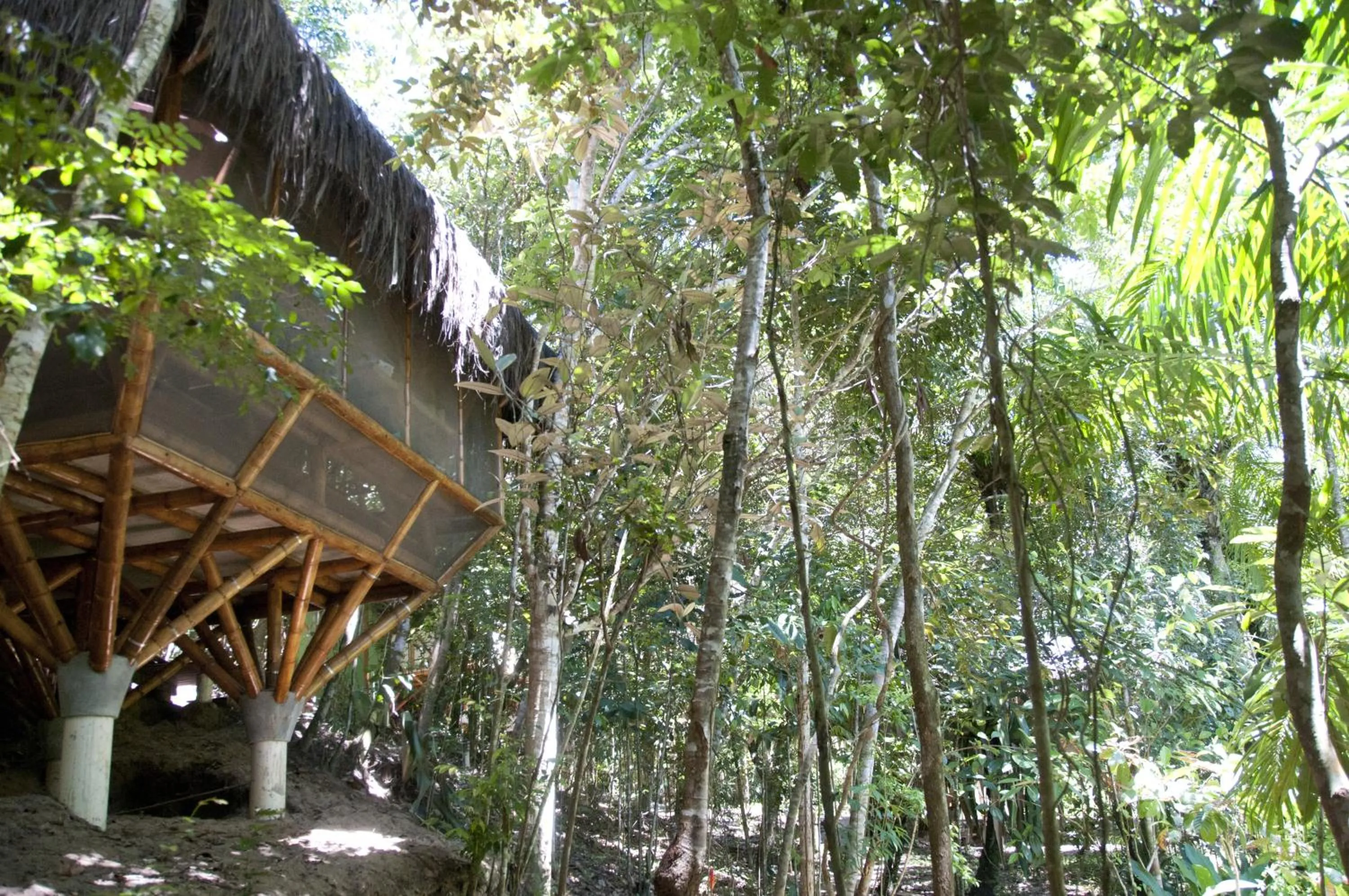 Day in Universo Pol Bamboo Hostel