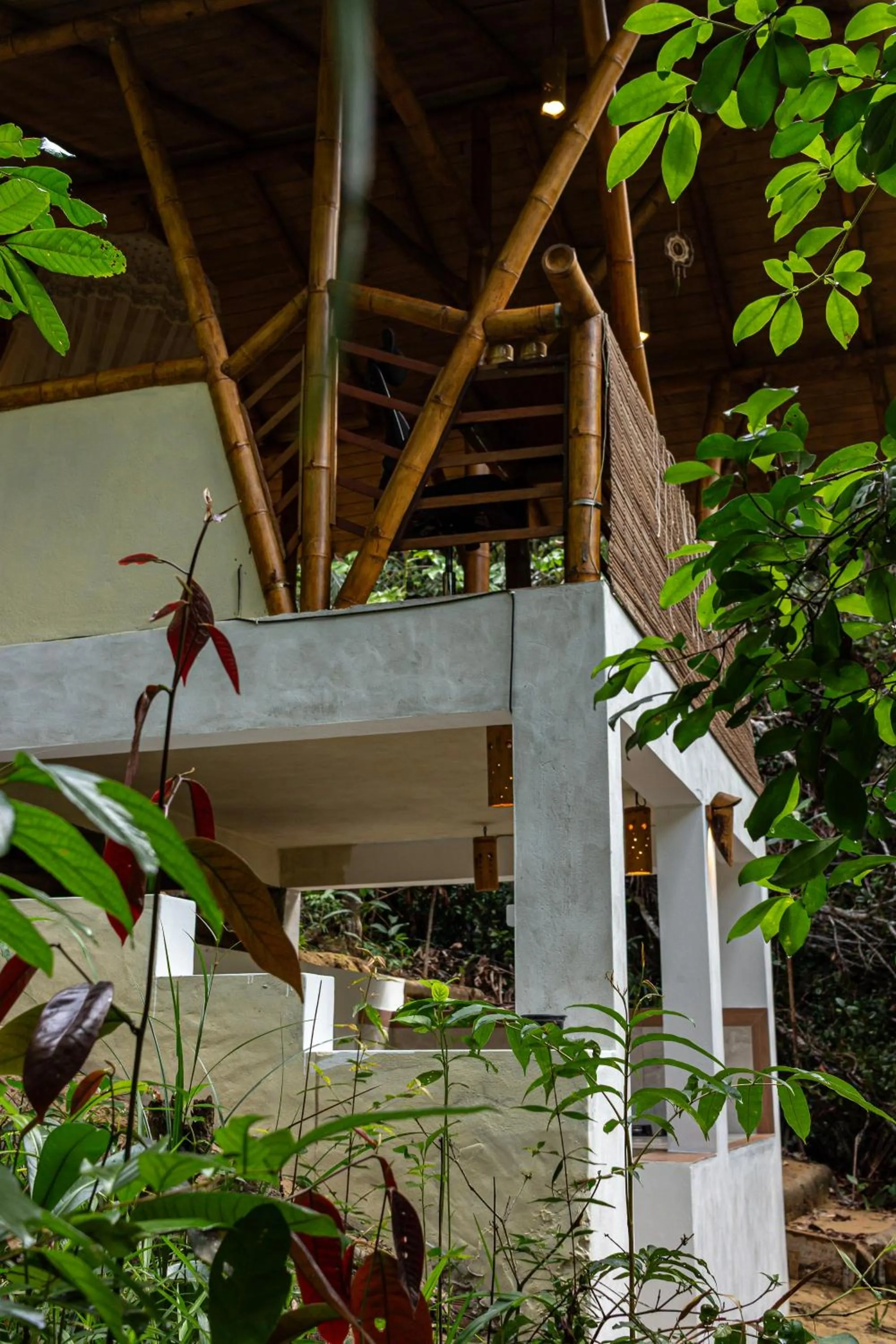 View (from property/room) in Universo Pol Bamboo Hostel