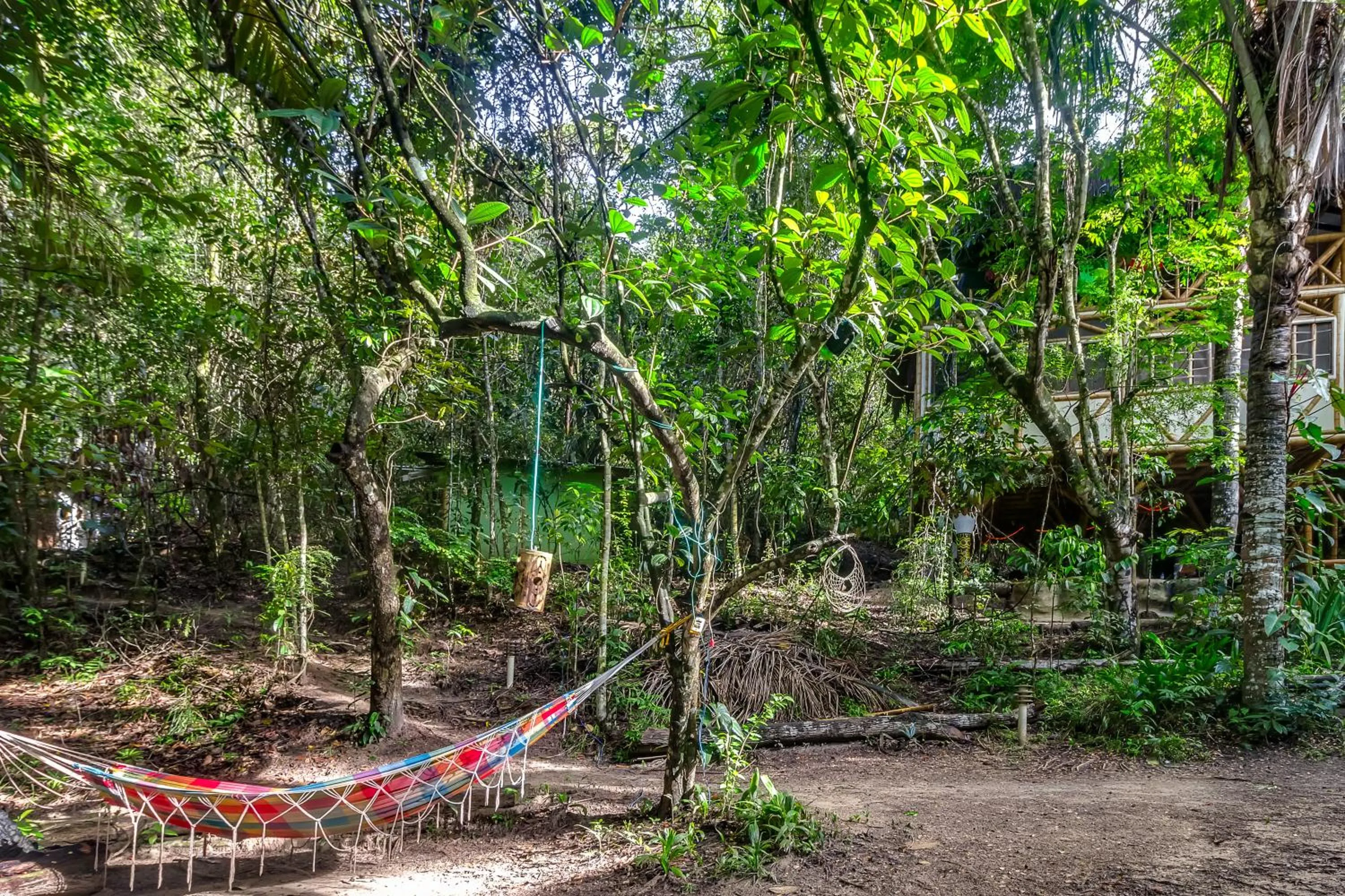 Garden in Universo Pol Bamboo Hostel