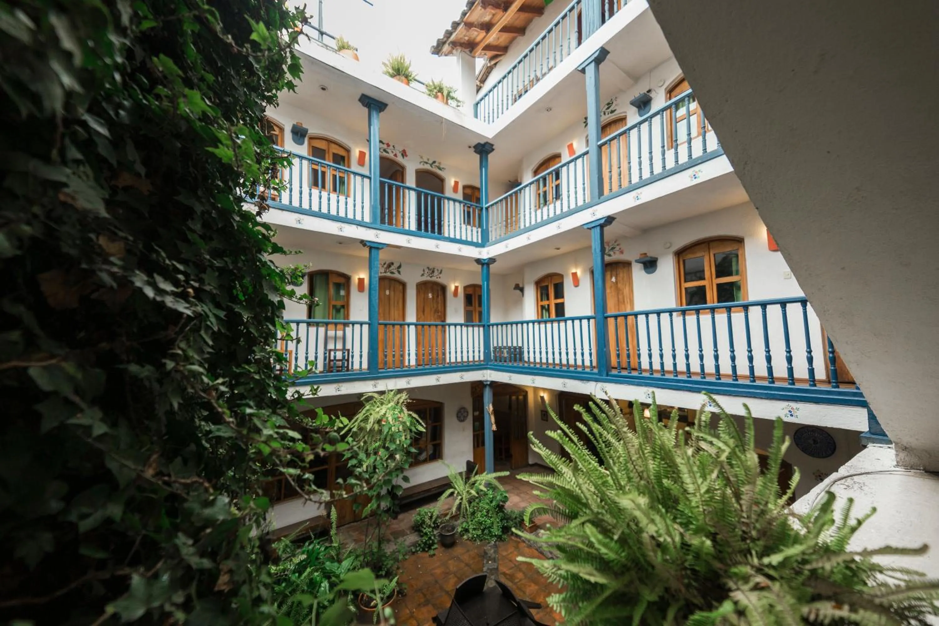 Property building in Hotel Doña Esther