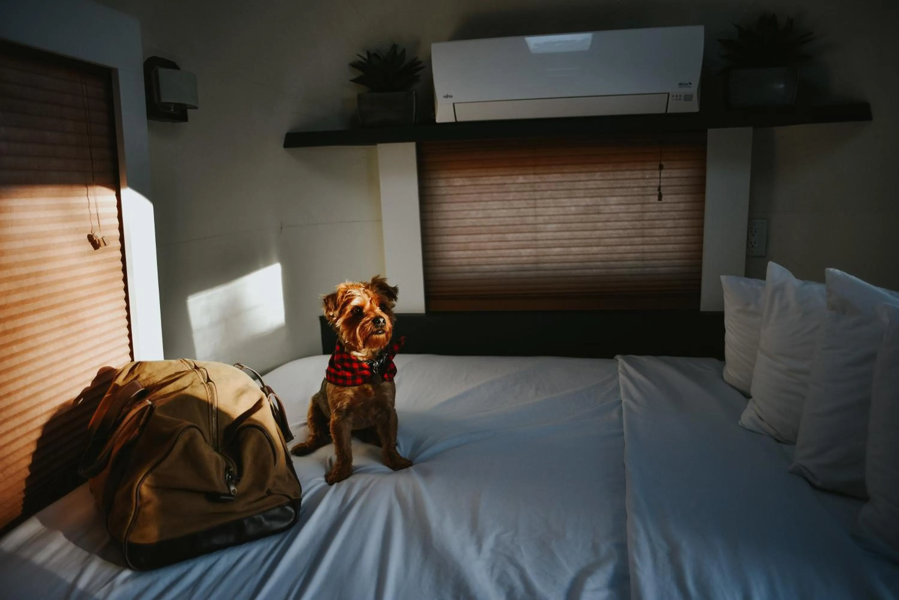 Bed in Flying Flags RV Resort & Campground