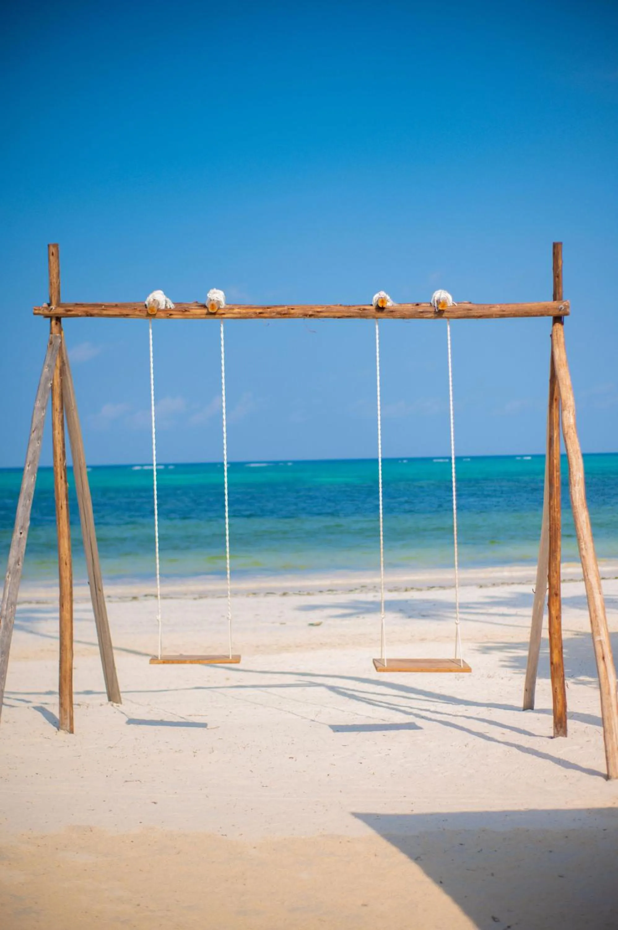 Beach in Protels La Plage